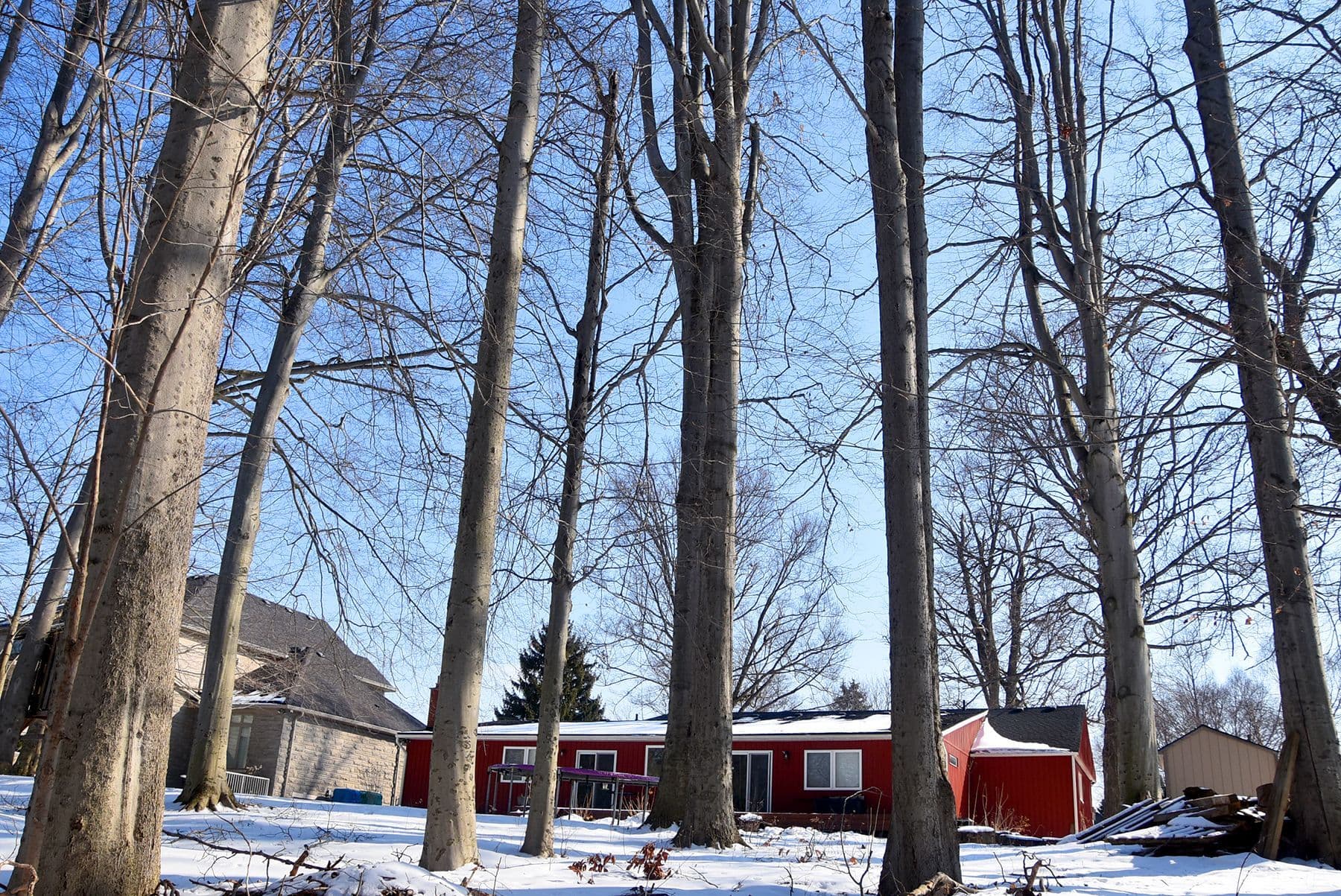 994 Haist Street, Pelham, ON L0S 1E4