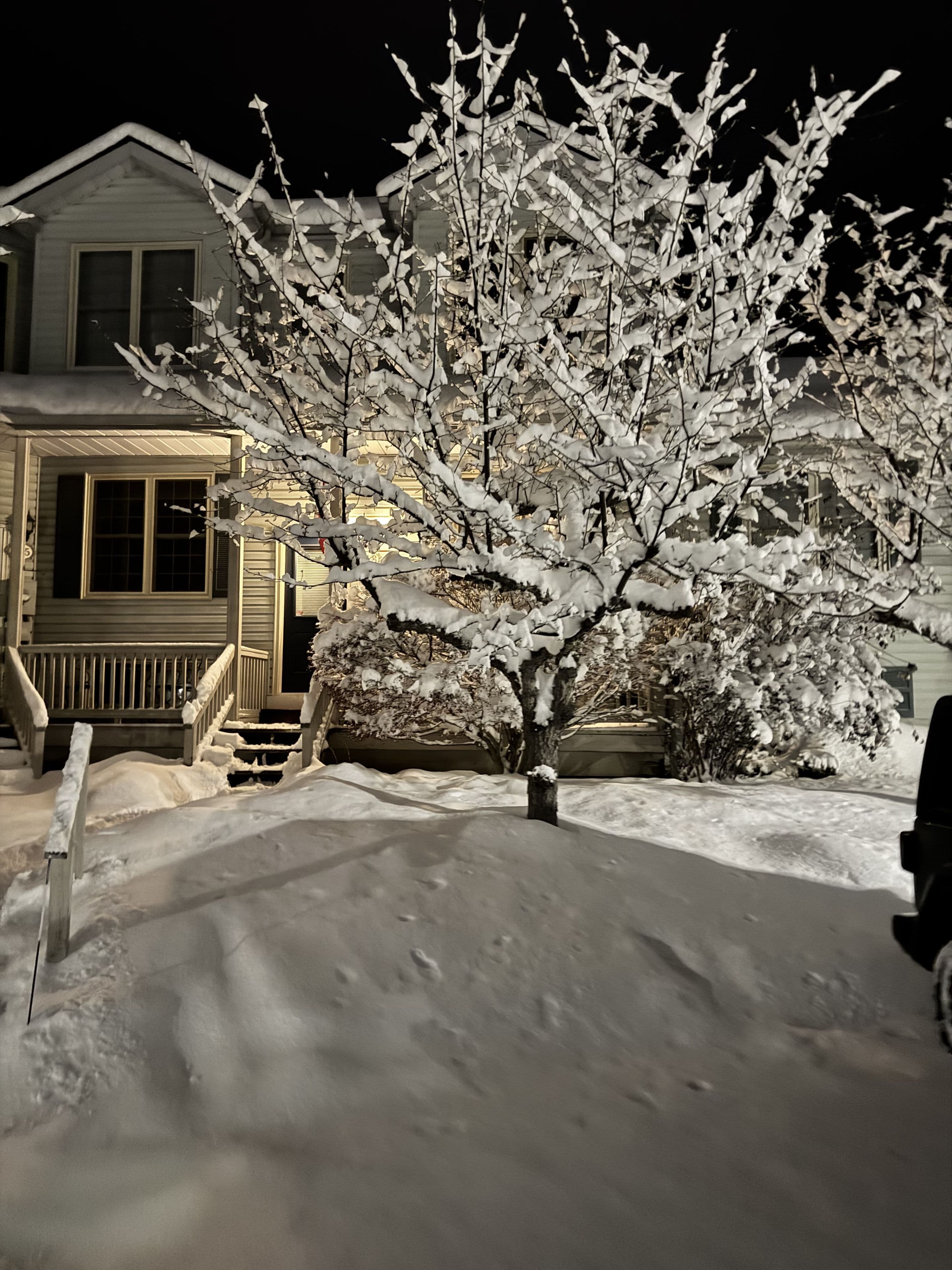 150 Victoria Street S 126, Blue Mountains, ON N4L 2P0