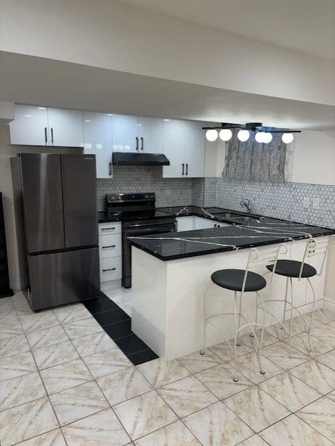 77 Norman Wesley Way Bsmt, Toronto W05, ON M3M 3H3