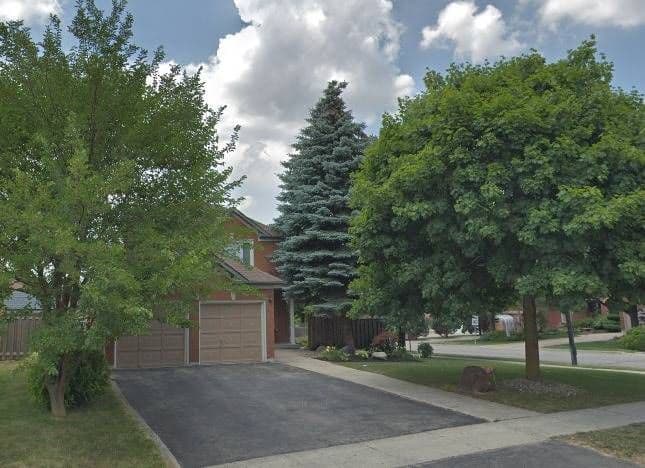 853 Firth Court Walk out Basement, Newmarket, ON L3Y 8H6