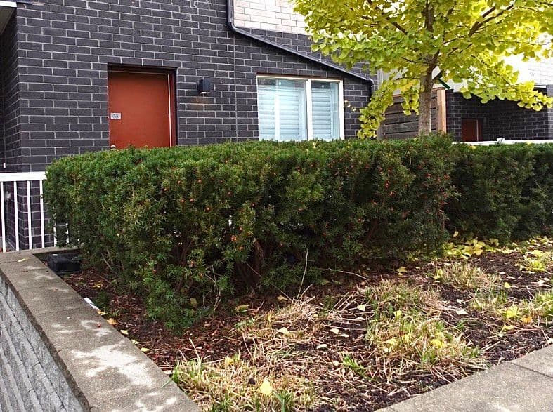 1363 Neilson Road 35, Toronto E11, ON M1B 0C6