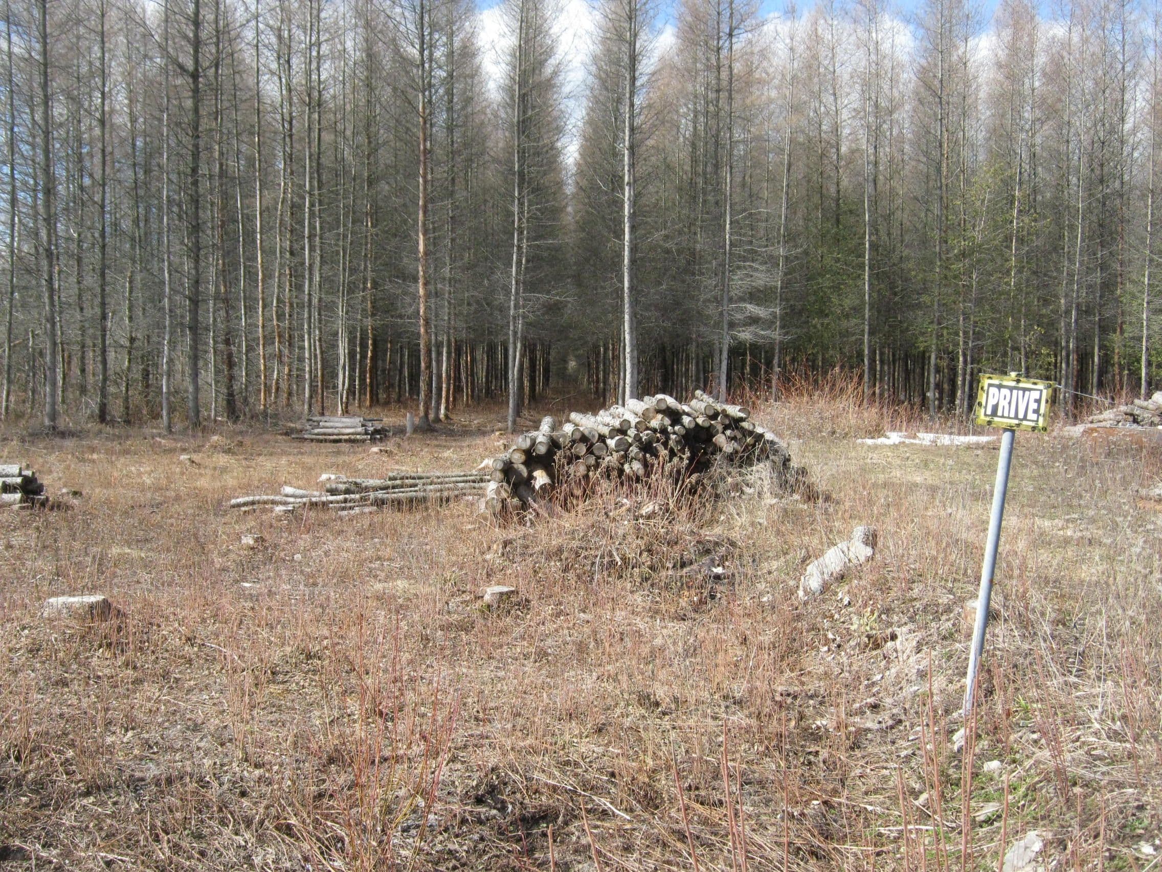 00 Dornie Road N, North Glengarry, ON K0C 1A0