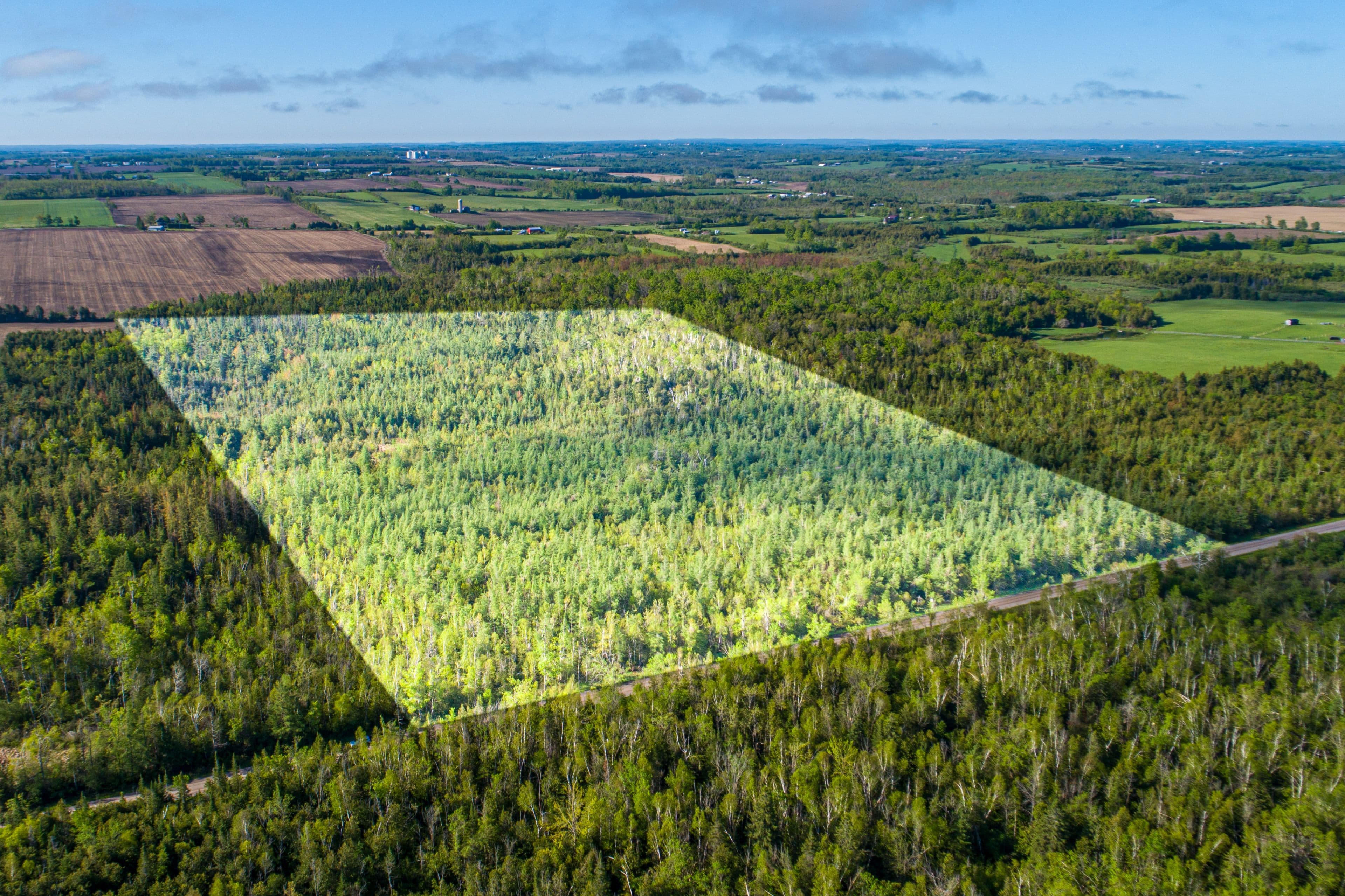 Lot 3 Black School Road, Kawartha Lakes, ON K0M 2C0