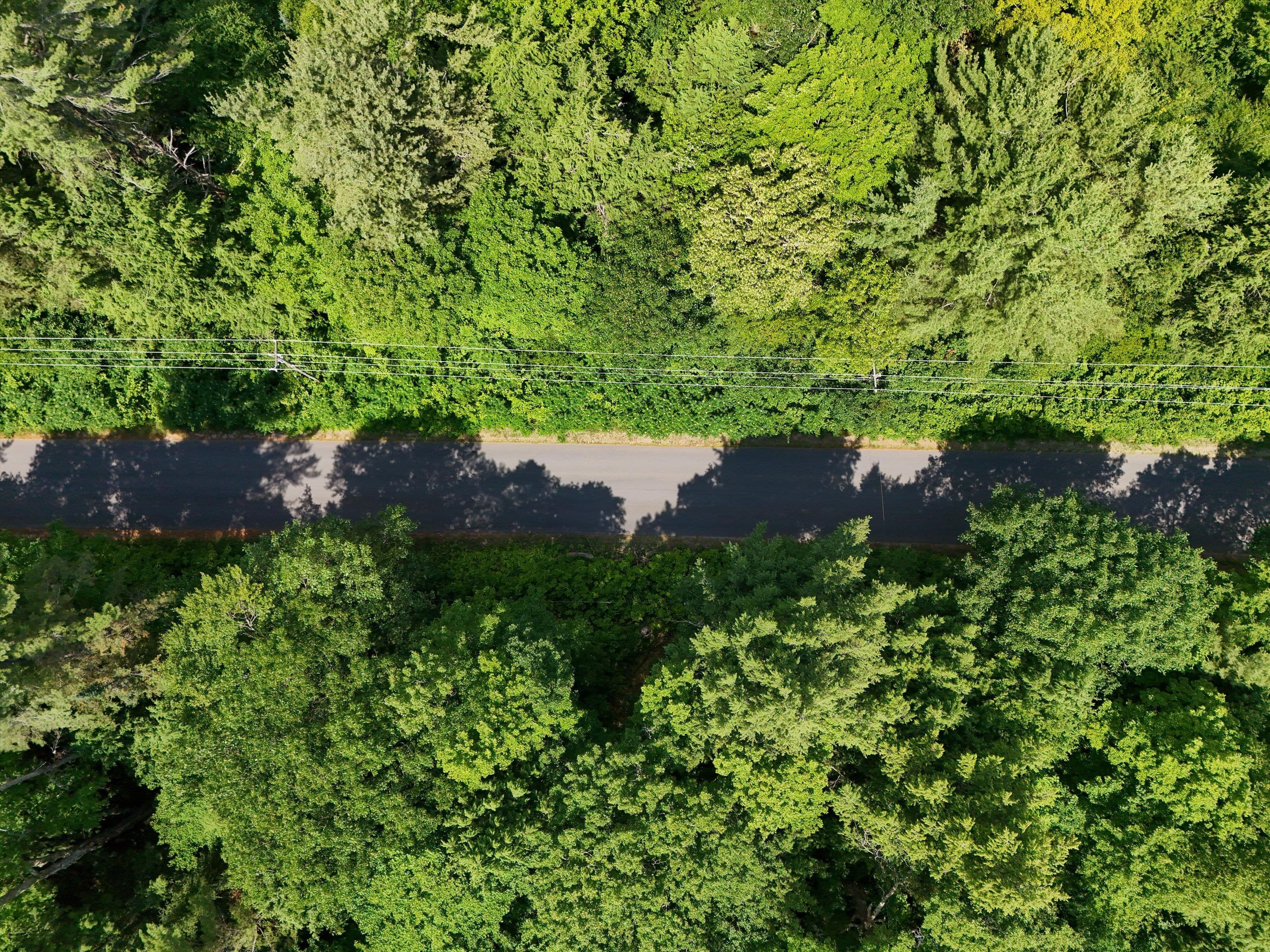 1098 Old Hwy 117 N/A, Lake of Bays, ON P0B 1A0