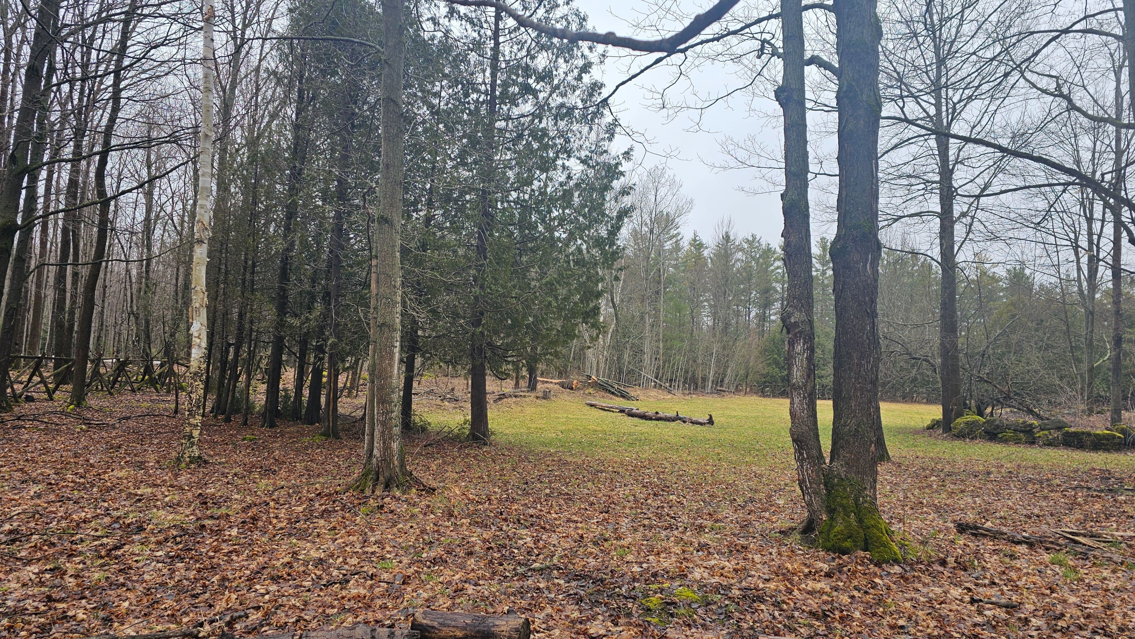 PT LT 1 Concession Rd 21 Road, Georgian Bluffs, ON N0H 2T0