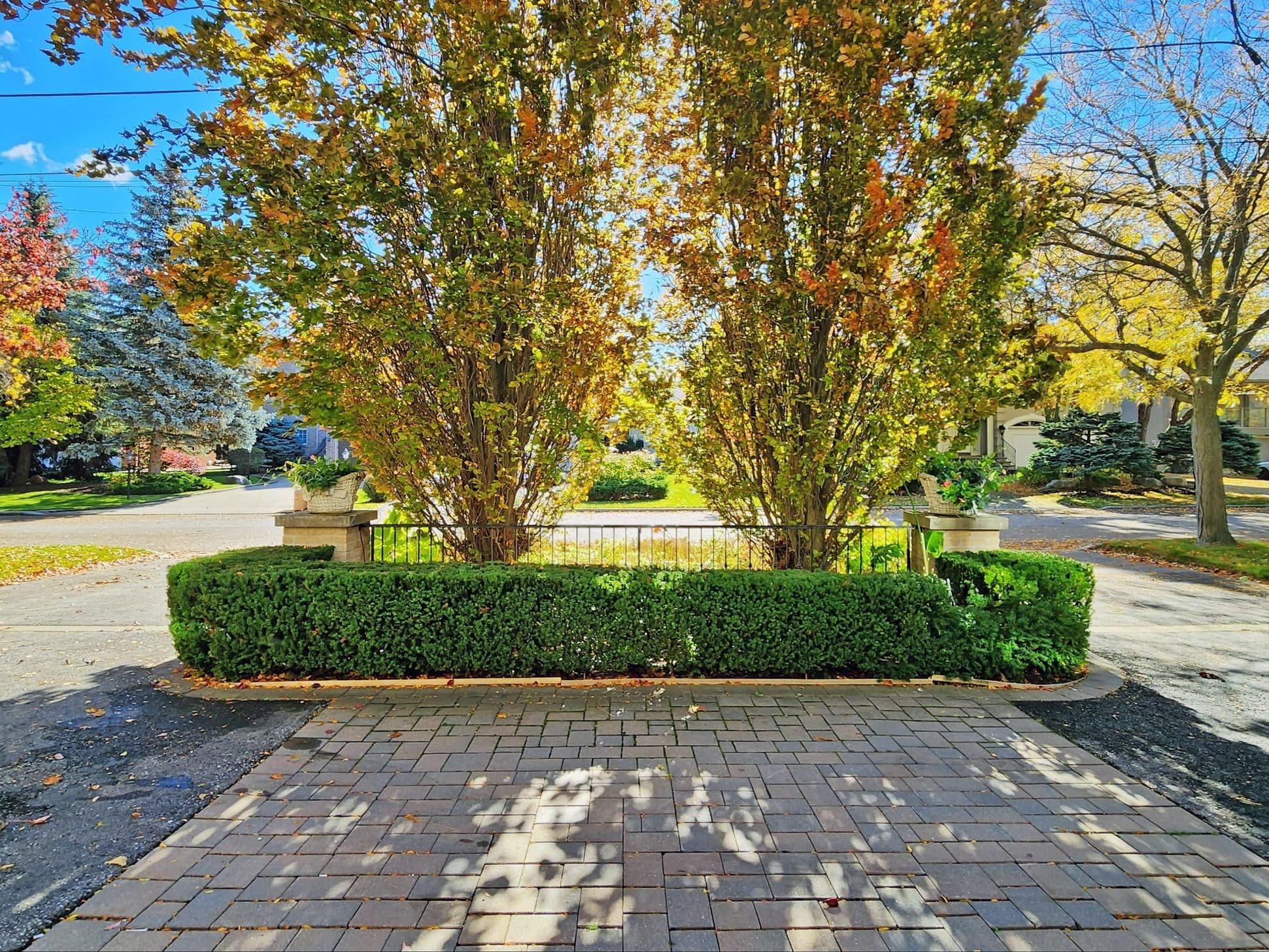 164 Owen Boulevard, Toronto C12, ON M2P 1G7