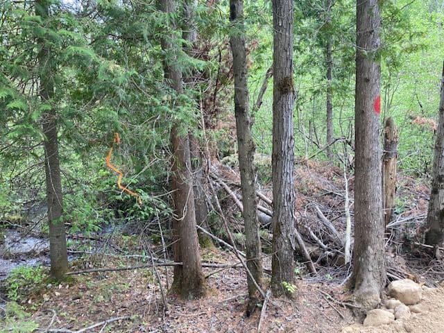 Lot 28 Concession 11 N/A, Lake of Bays, ON P0A 1H0