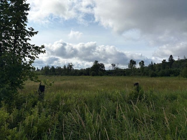 0 Old Muskoka to the West Side of #1105 Road, Huntsville, ON P0B 1M0