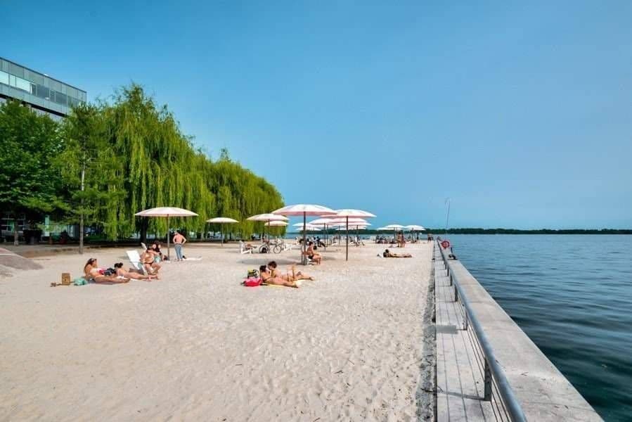 20 Richardson Street 812, Toronto C08, ON M5A 4J9