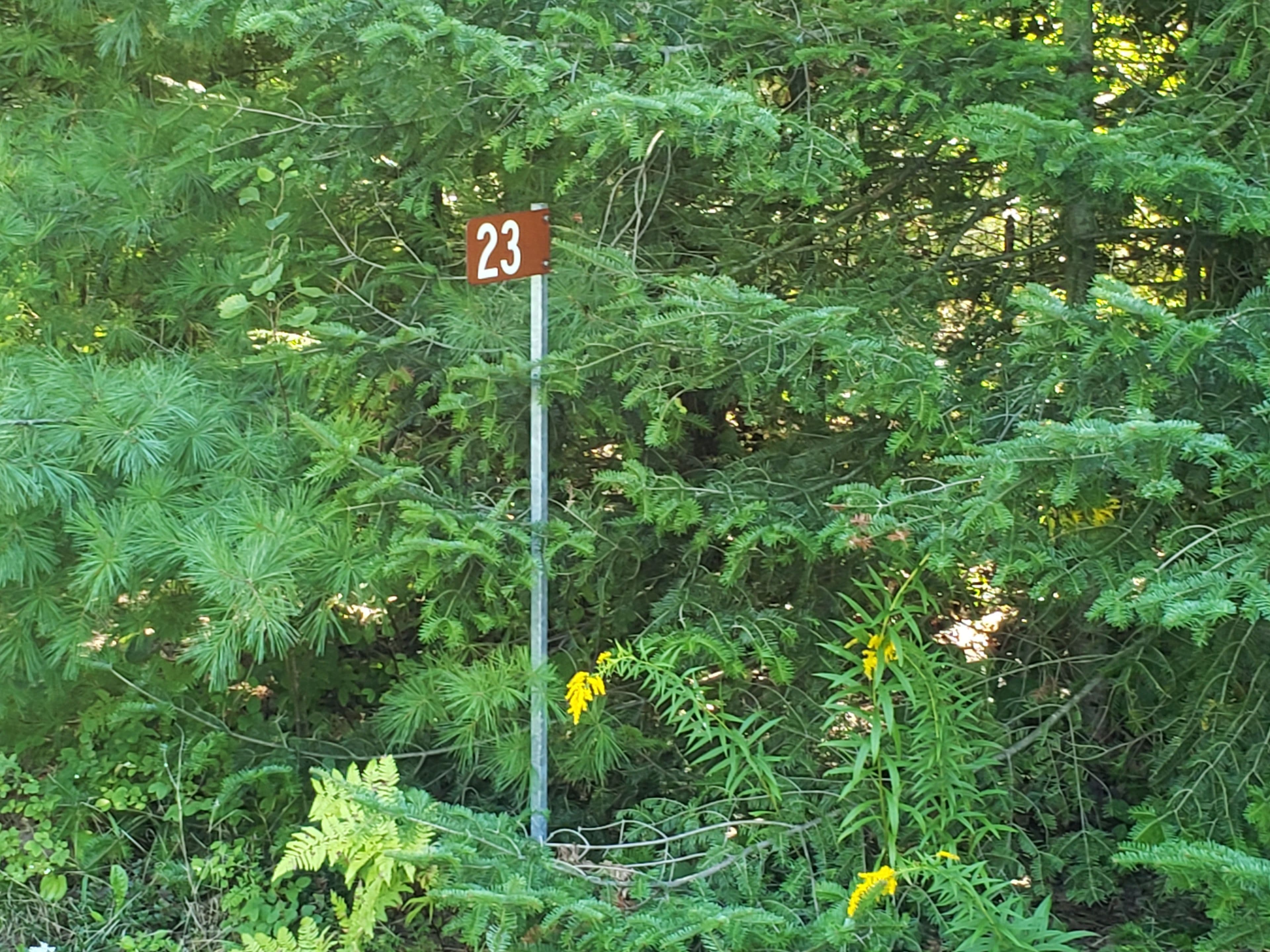 23 Stoney Road, Tiny, ON L9M 0H2