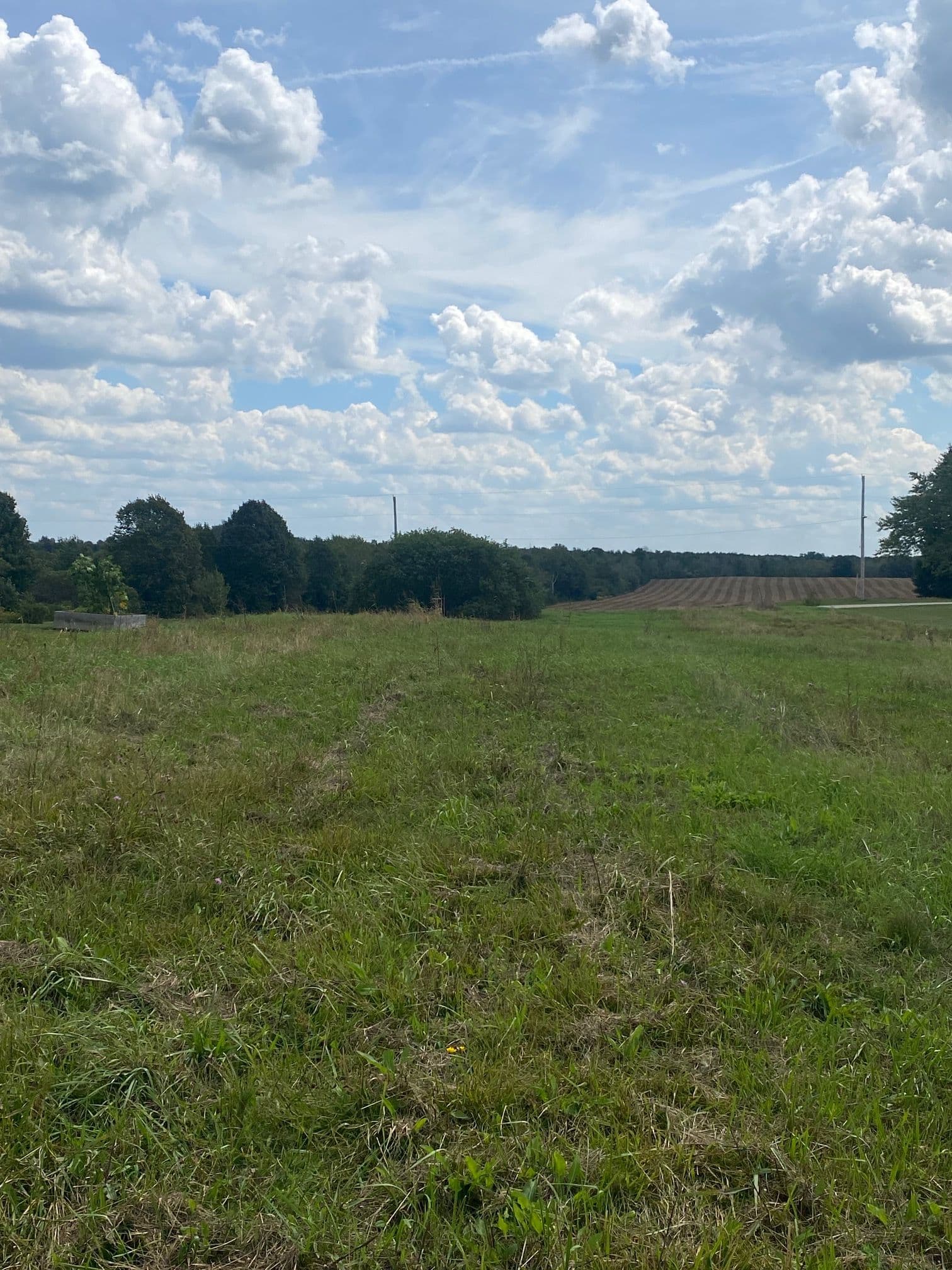 35 Nelson Street W, Minto, ON N0G 1M0