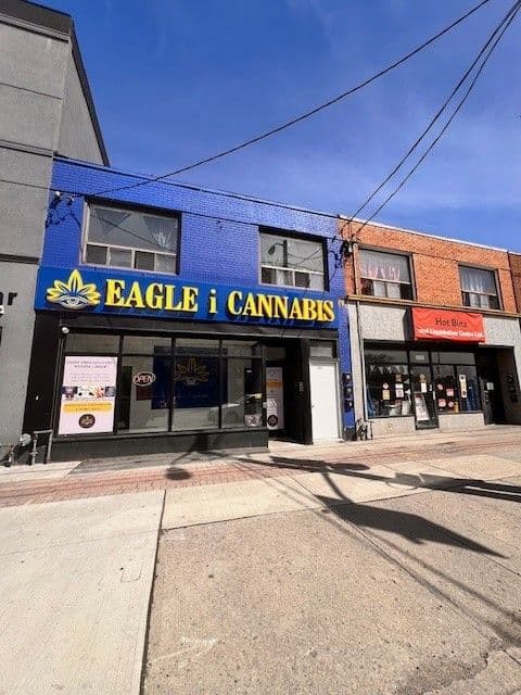 1982 Eglinton Avenue W 2, Toronto W04, ON M6E 2J9