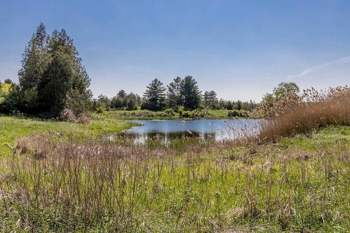 2140 Charleston Side Road, Caledon, ON L7K 0R5