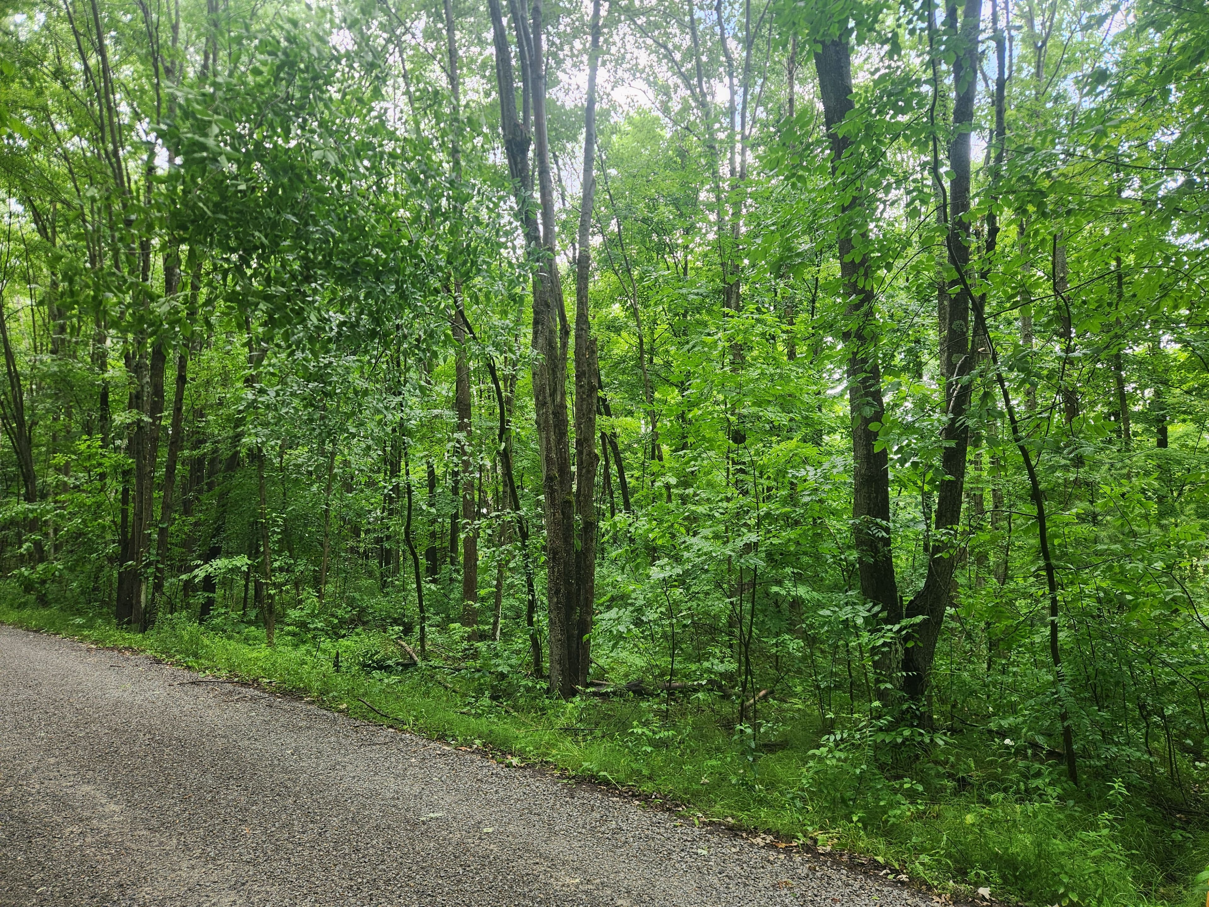 LOT Cedar Sands Road Way, Rideau Lakes, ON K0E 1N0