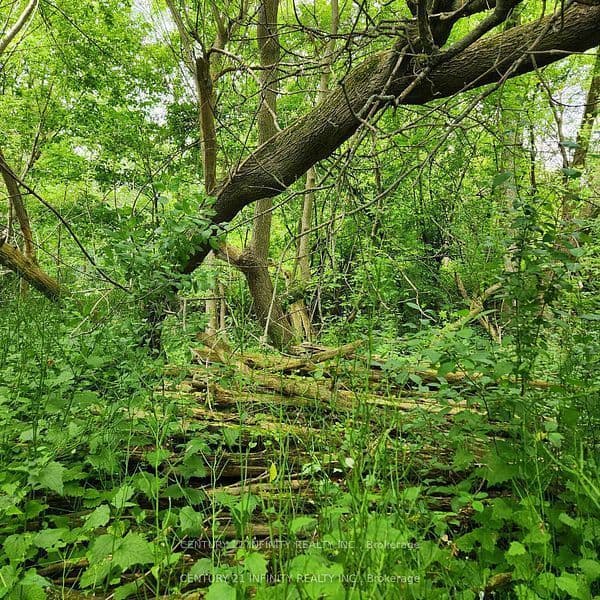 0-B Howard (Northwest Lot) Street, Port Hope, ON L1A 0B2