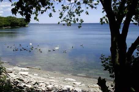 2663 Lake Shore Boulevard W 606, Toronto W06, ON M8V 1G7