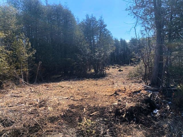 LT 3 ARMSTRONG Road, Merrickville-Wolford, ON K0G 1N0