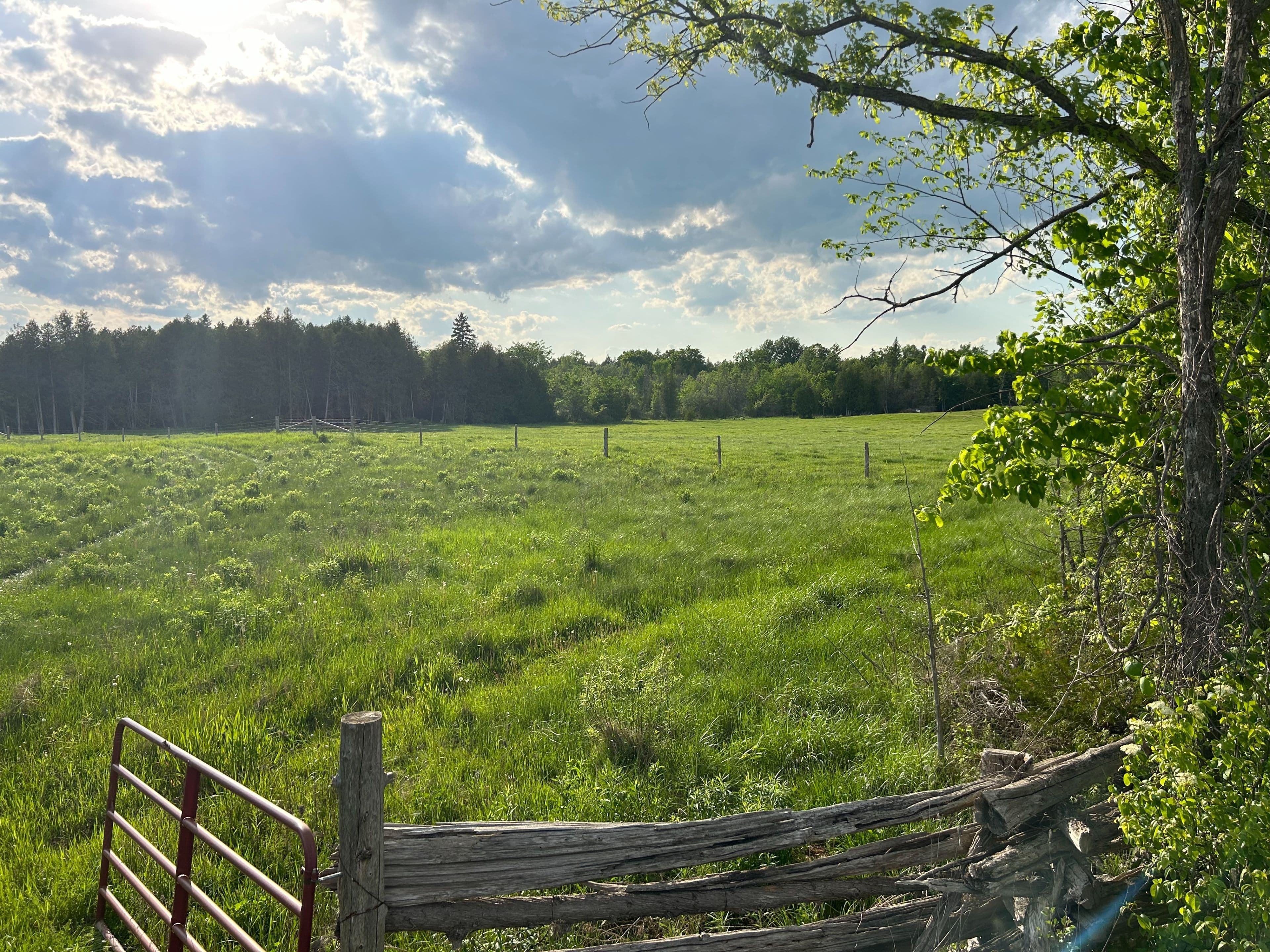 1982 Asphodel 8th Line, Asphodel-Norwood, ON K0L 2V0