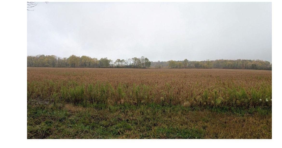 2029 Laur Drive, Fort Erie, ON L2A 5M4