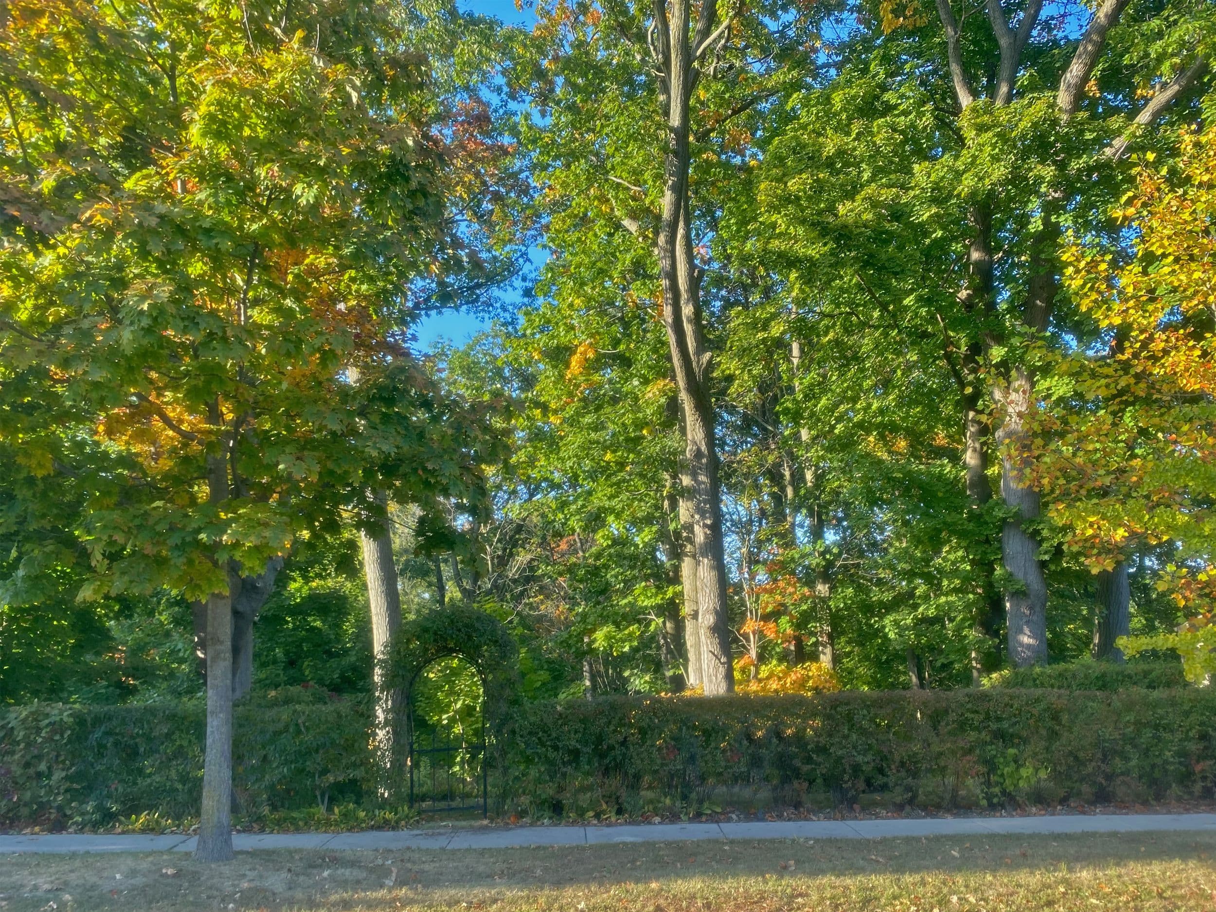 28 Sherbourne Street, Port Hope, ON L1A 1H2