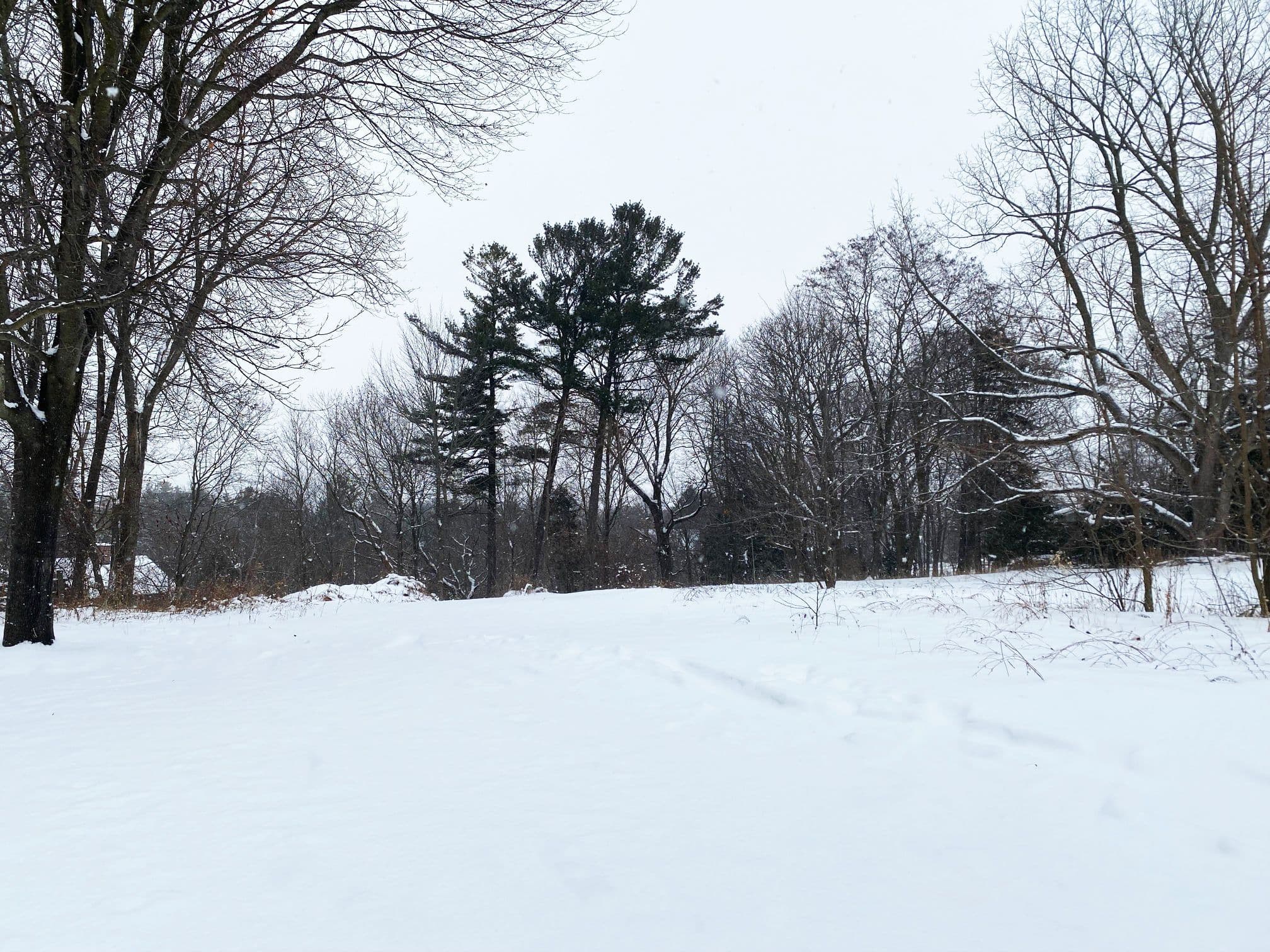 106 Bruton Street, Port Hope, ON L1A 1V3