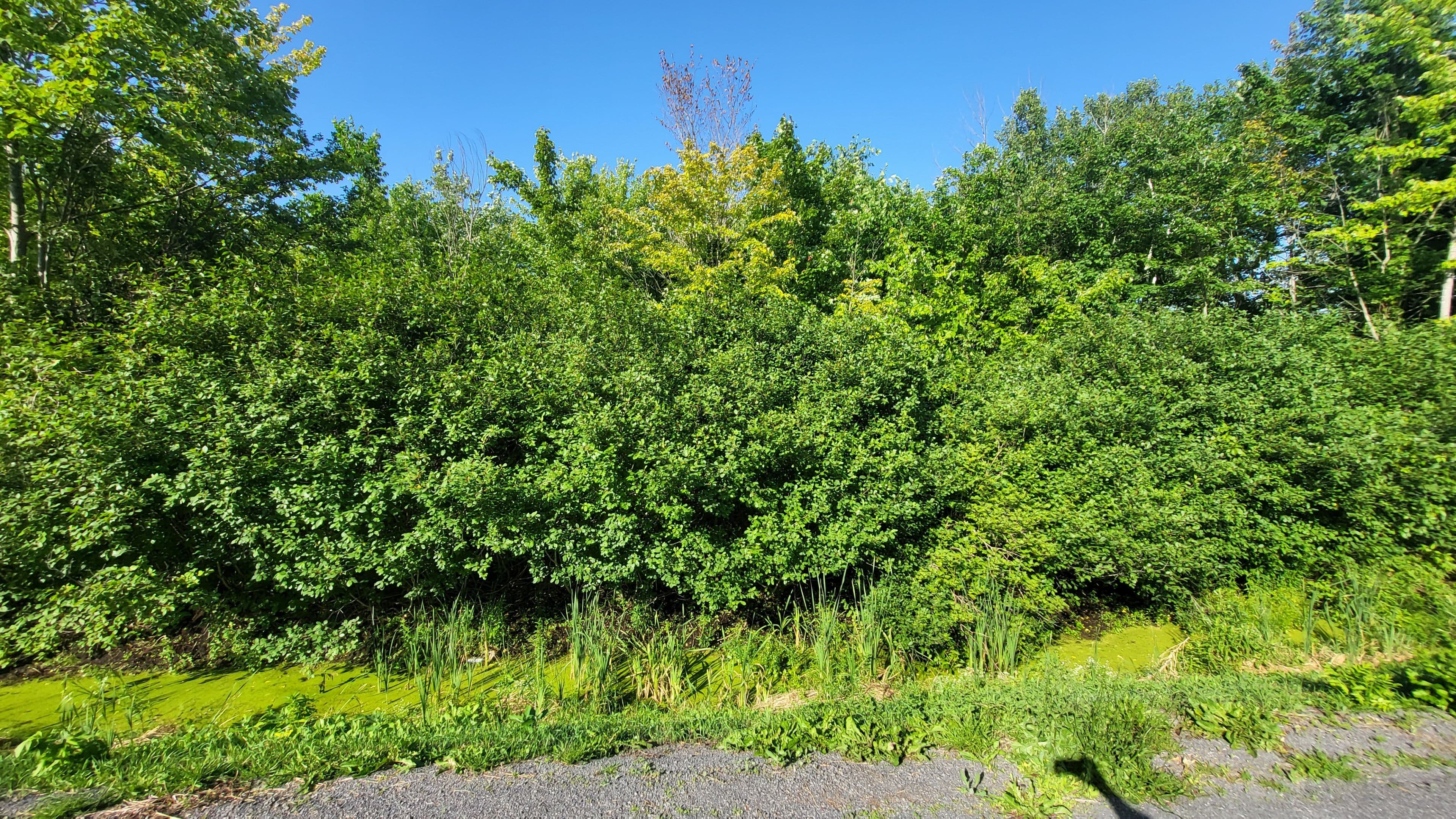 00 Tolmies Corners Road, North Stormont, ON K0C 1V0