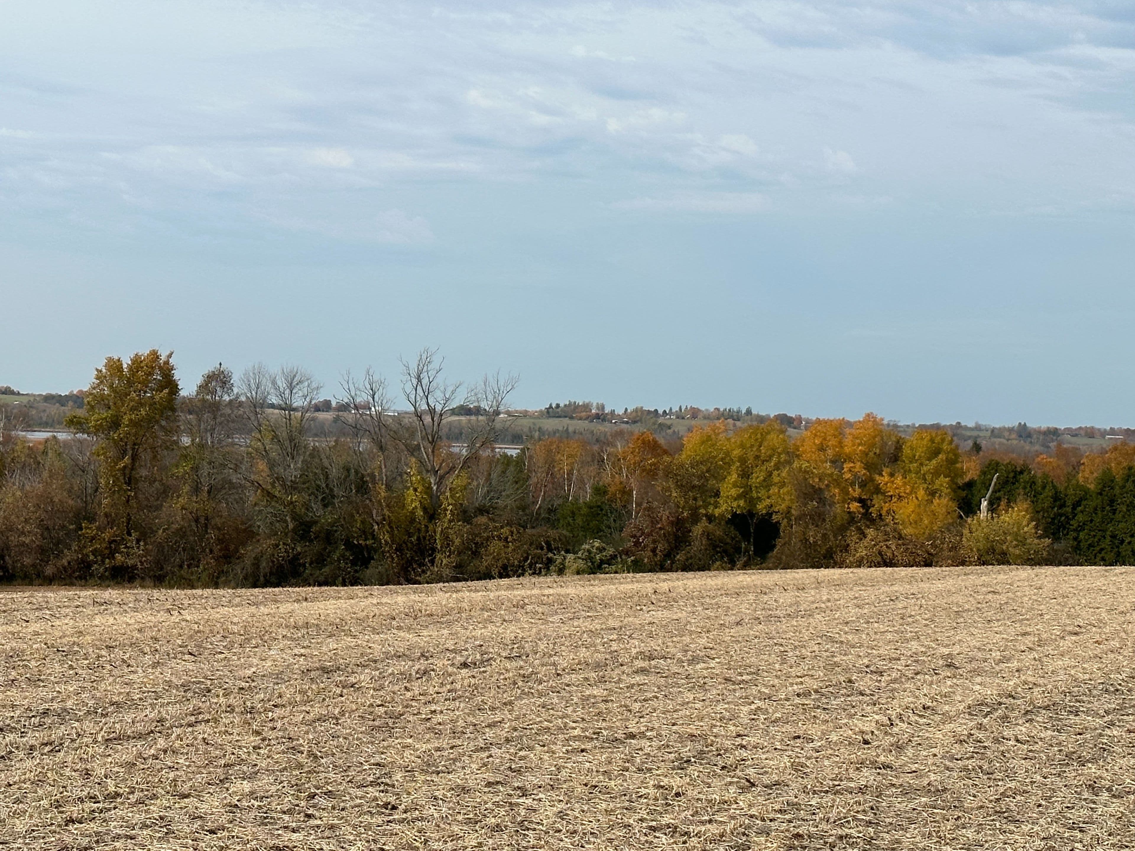 2851 Church Street, Scugog, ON L0B 1B0