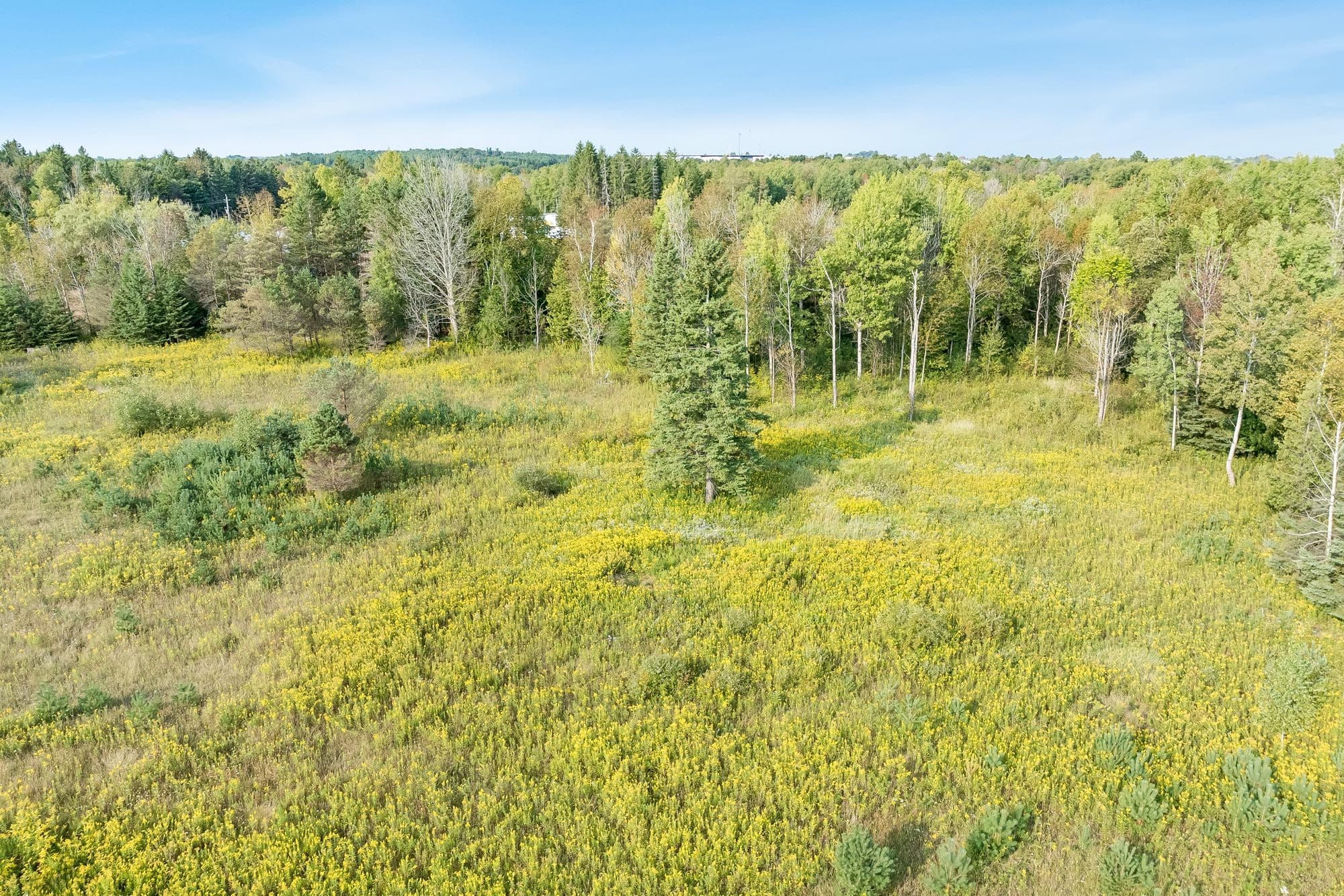 3152 Davis Drive, East Gwillimbury, ON L3Y 4W1