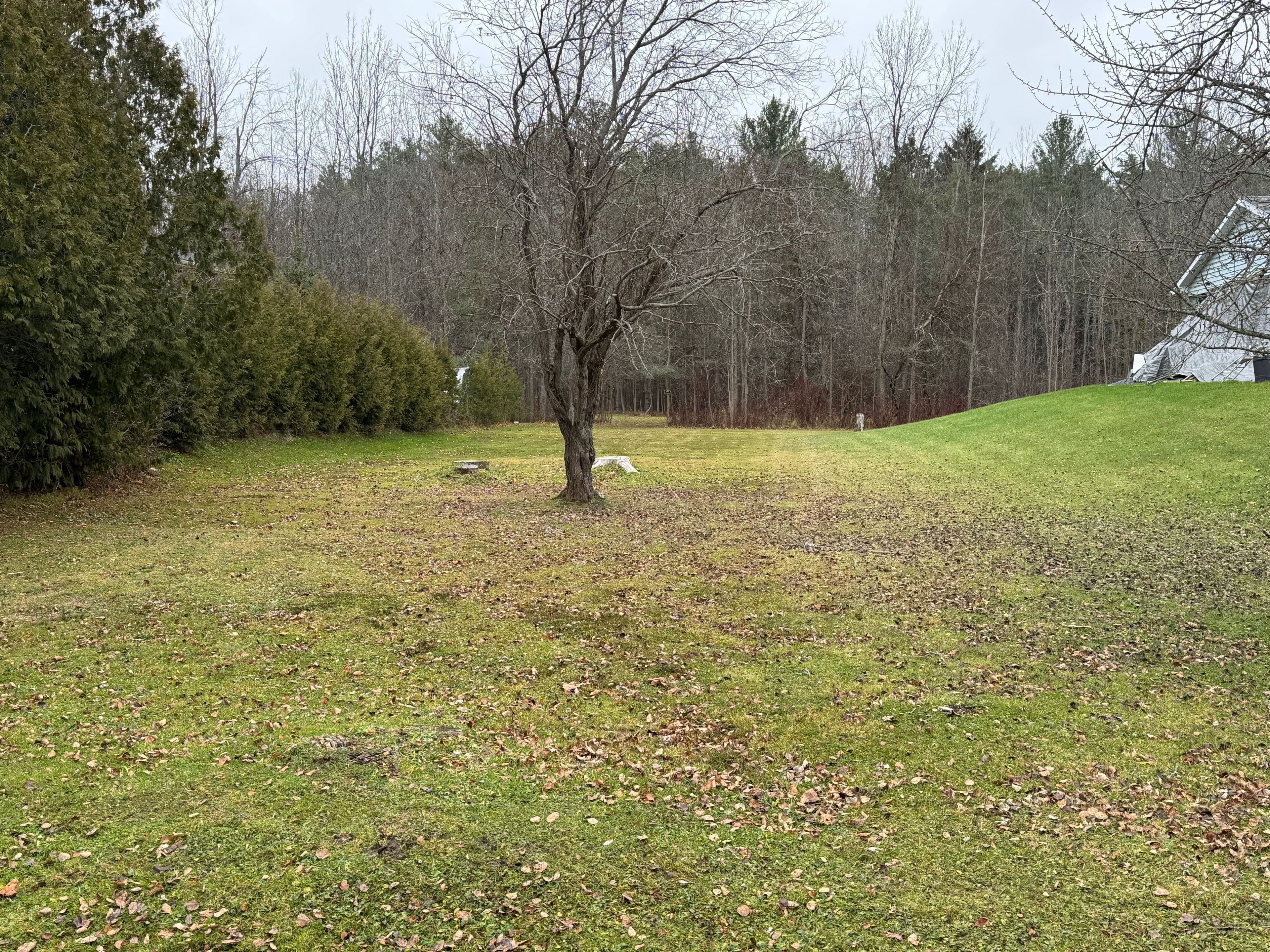 111 Carney Street, Georgian Bluffs, ON N4K 6V5