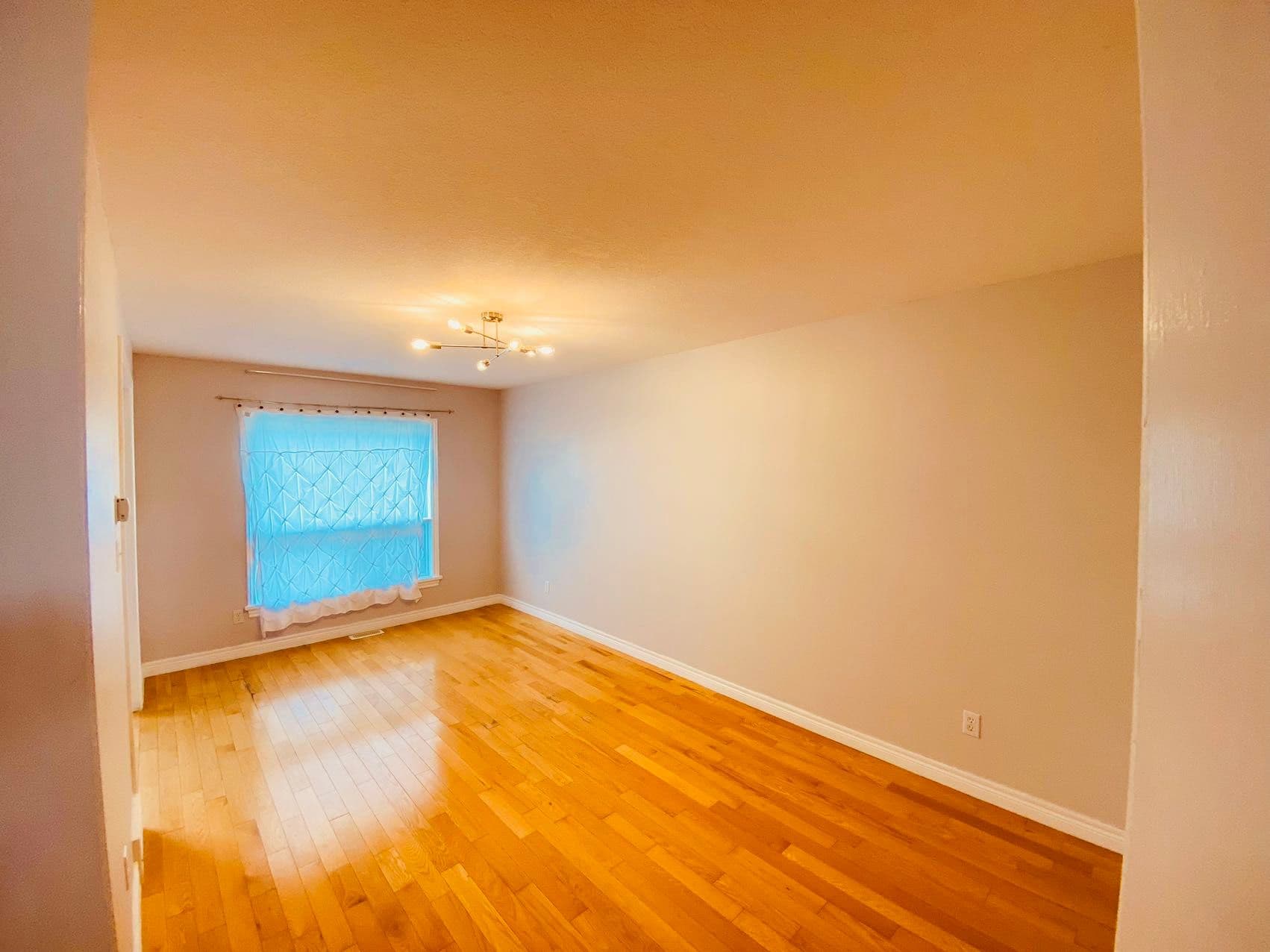 668A Butternut Avenue, Waterloo, ON N2V 2L1