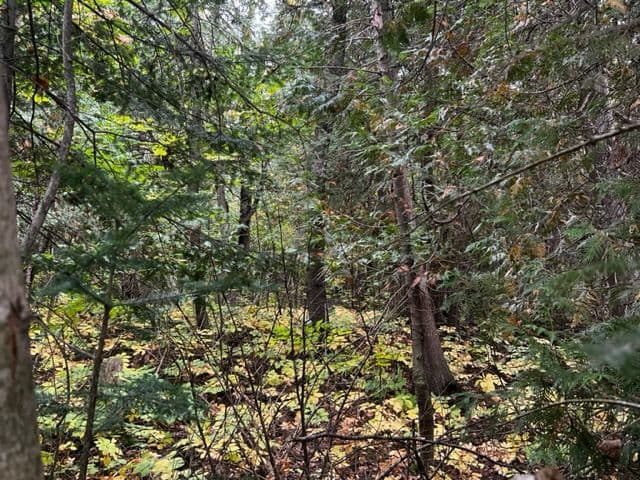 7 SHORE Road, Saugeen Shores, ON N0H 2L0