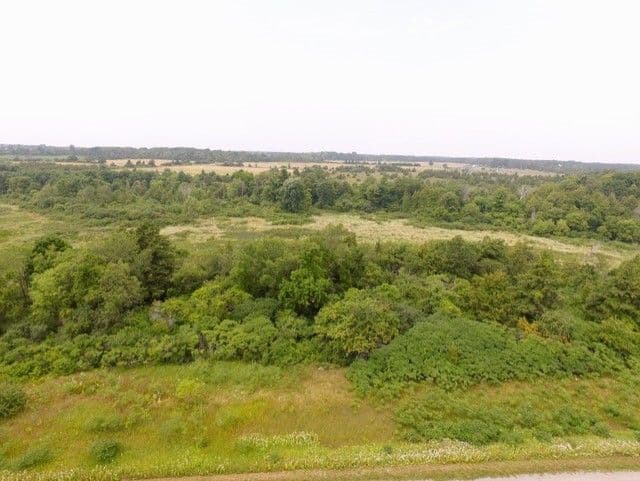 Lt 27 Pt 3 County Rd 10 N/A, Prince Edward County, ON K0K 2T0