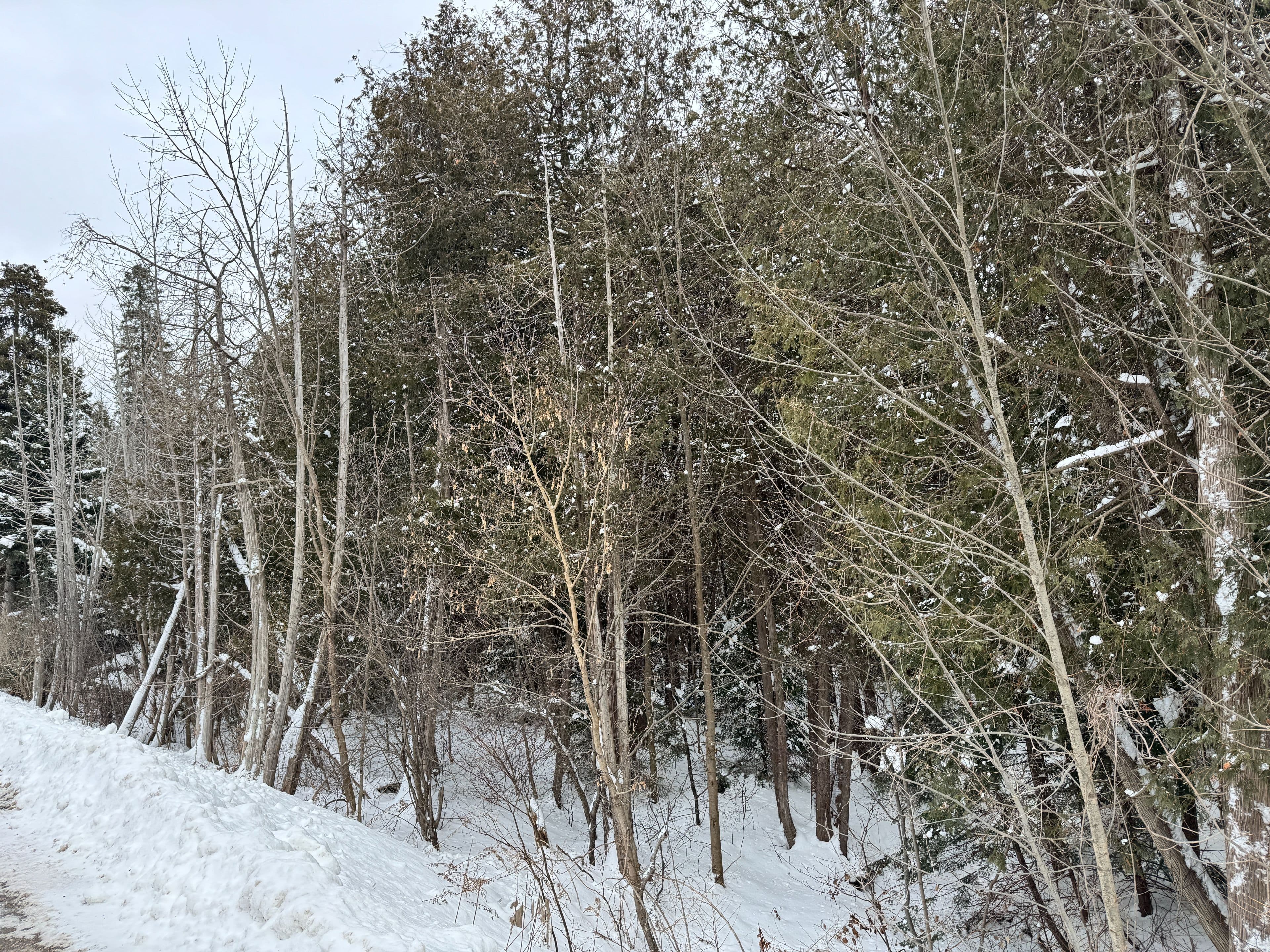 30725 Hockley Road, Mono, ON L9W 6N7