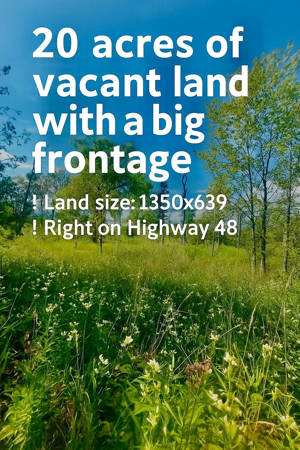 19983 Hwy 48 N/A, East Gwillimbury, ON L1G 1M0