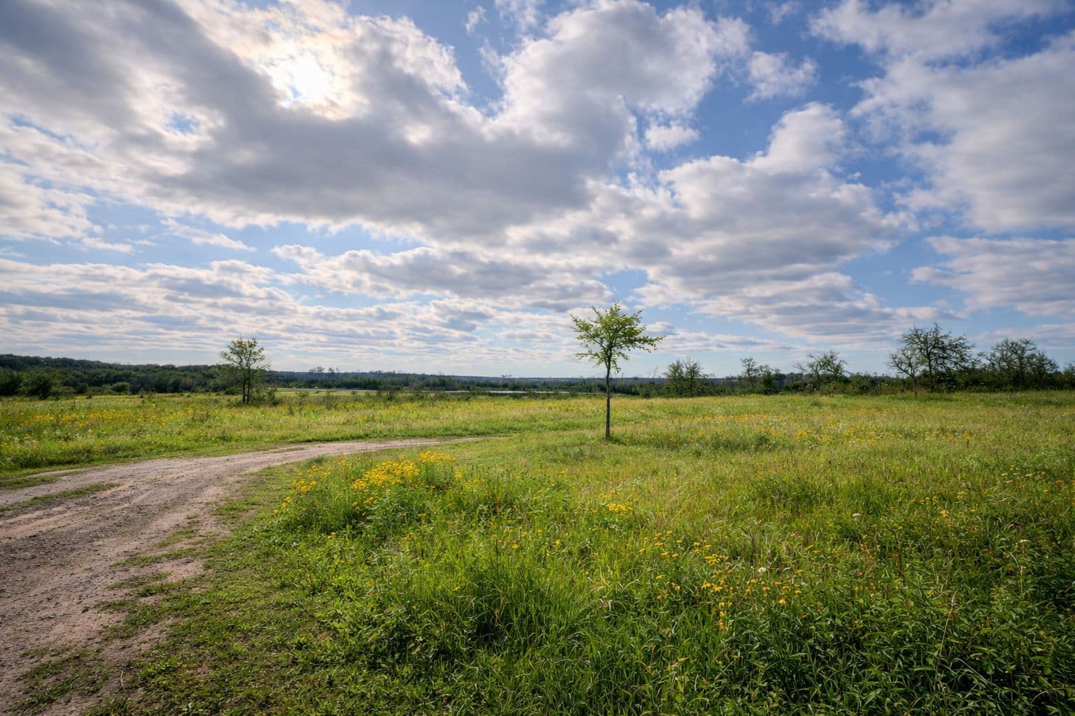 PT LT 37 McGarvey Road, Frontenac, ON K0H 1X0