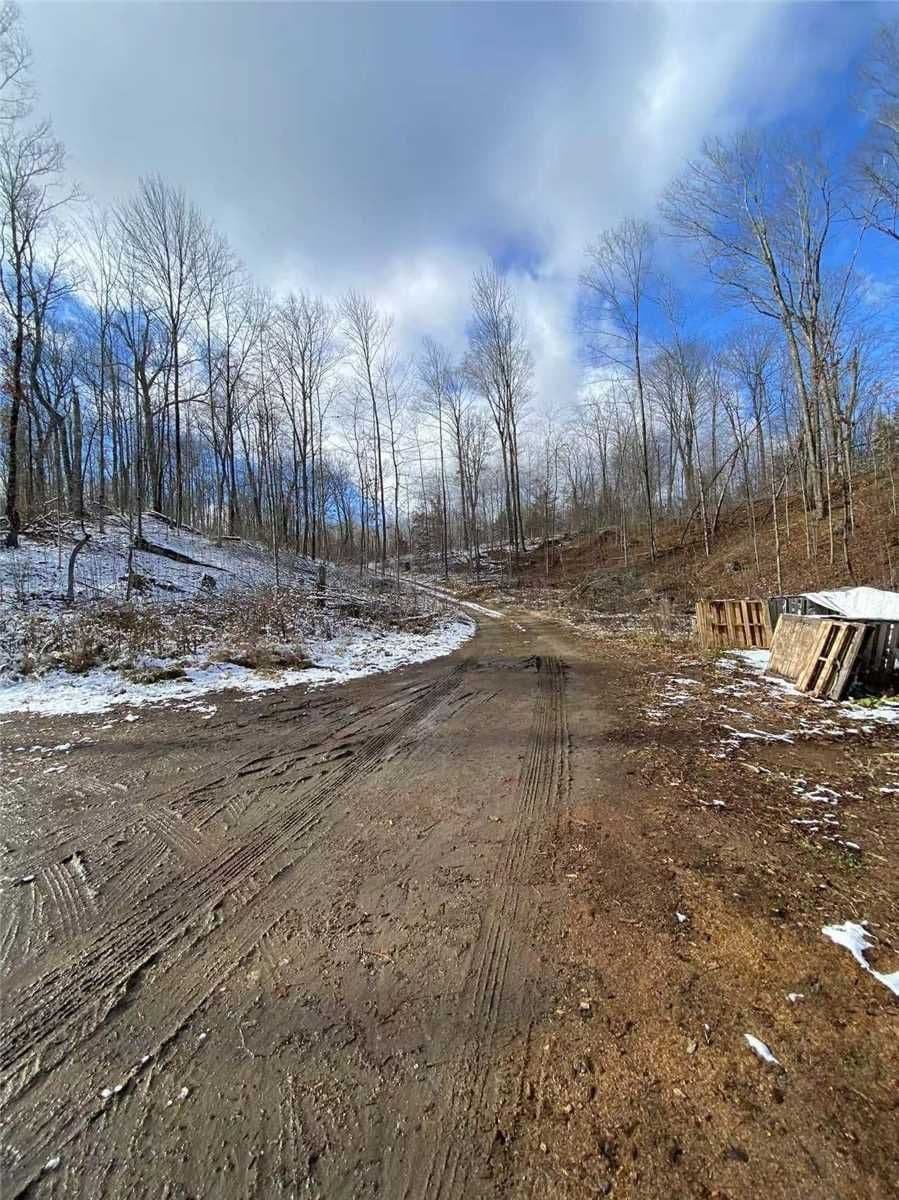 1091 Crystal Lake Road, Trent Lakes, ON K0M 2A0