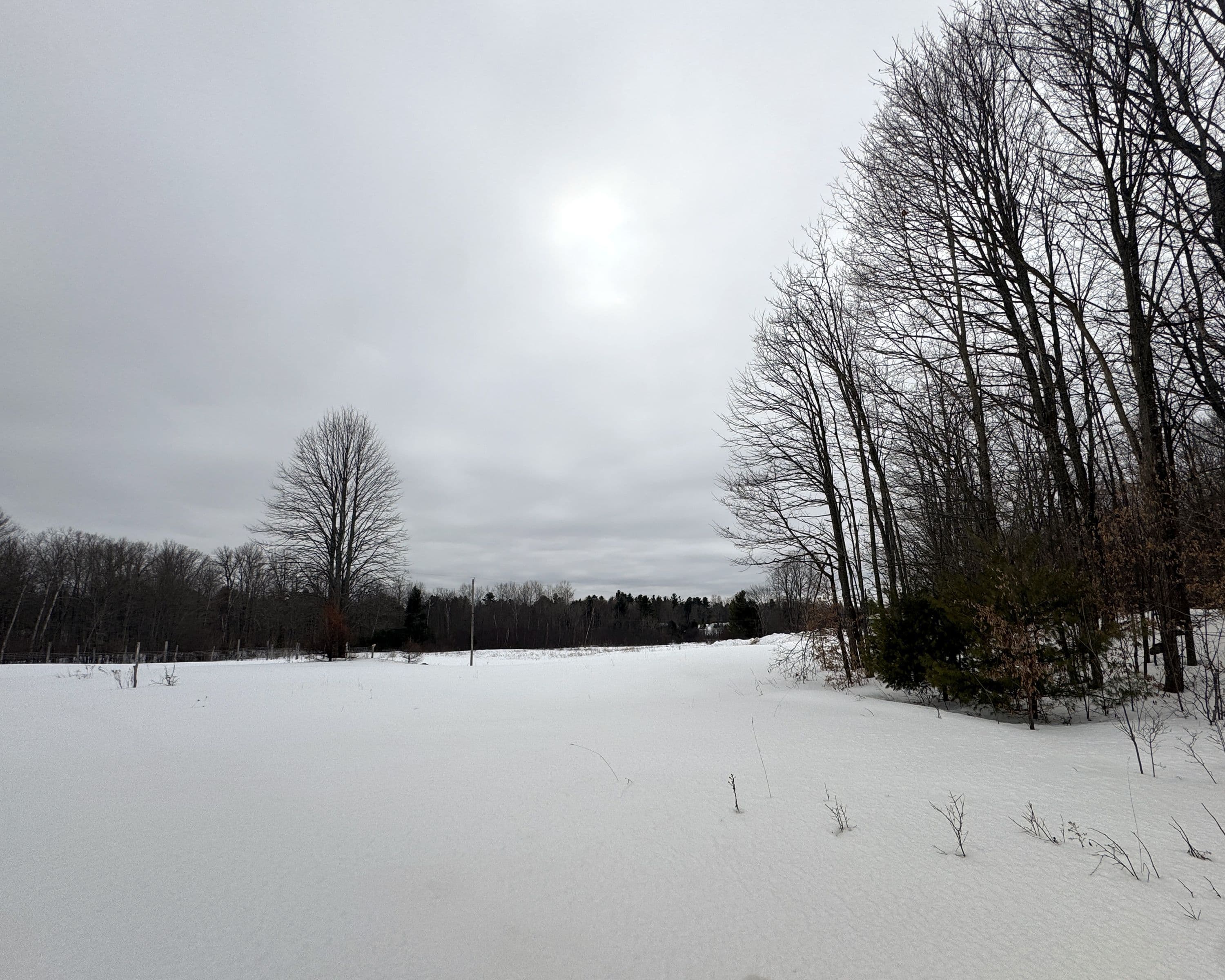 2260 FIFTH LAKE Road, Frontenac, ON K0H 2K0