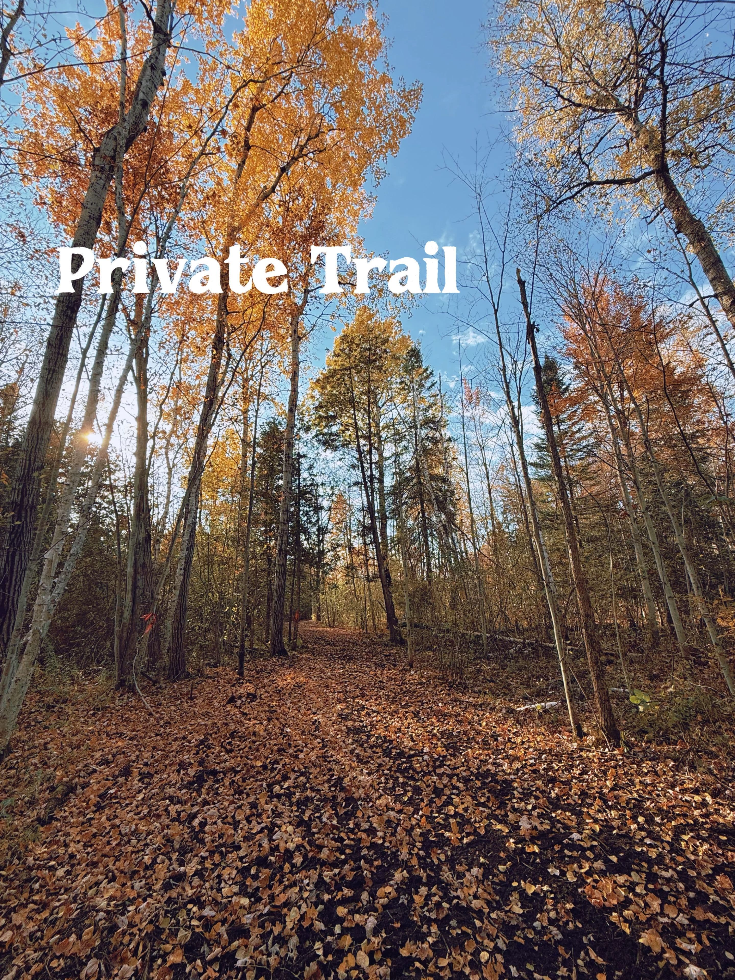 4909 Holborn Road, East Gwillimbury, ON L0G 1M0