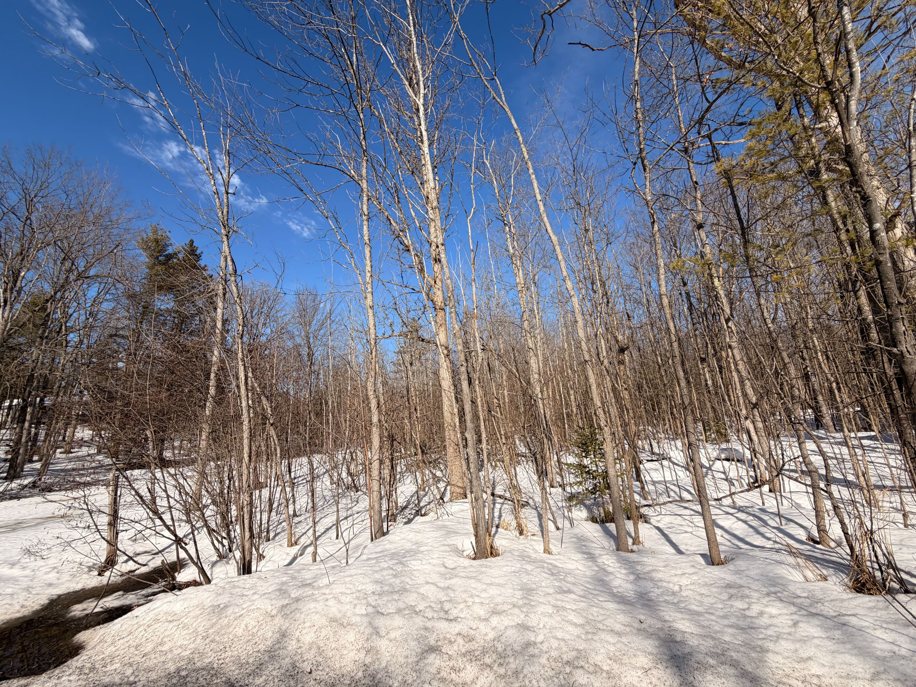 7815 Riverleigh Drive, Ramara, ON L0K 2B0