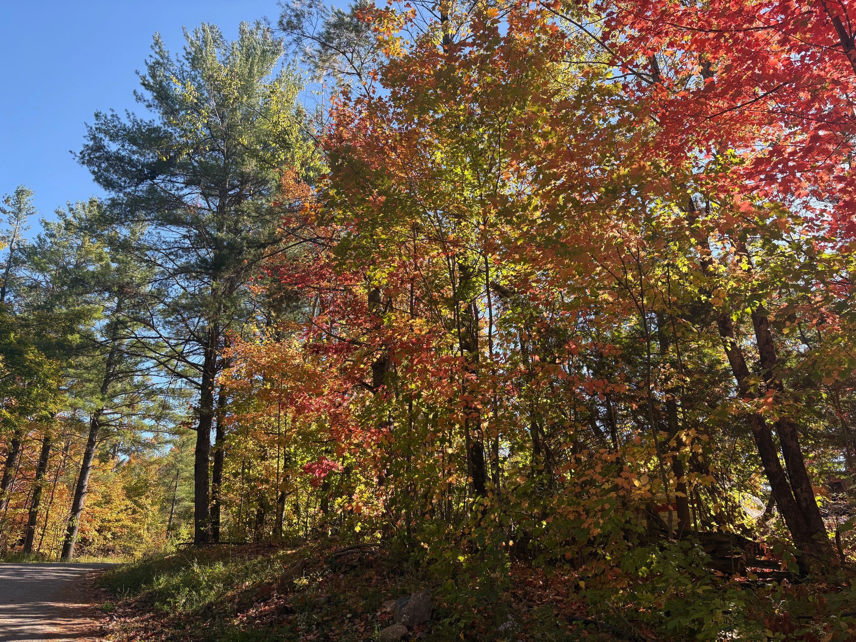N/A Twin Sister Lakes Road, Marmora and Lake, ON K0K 2M0