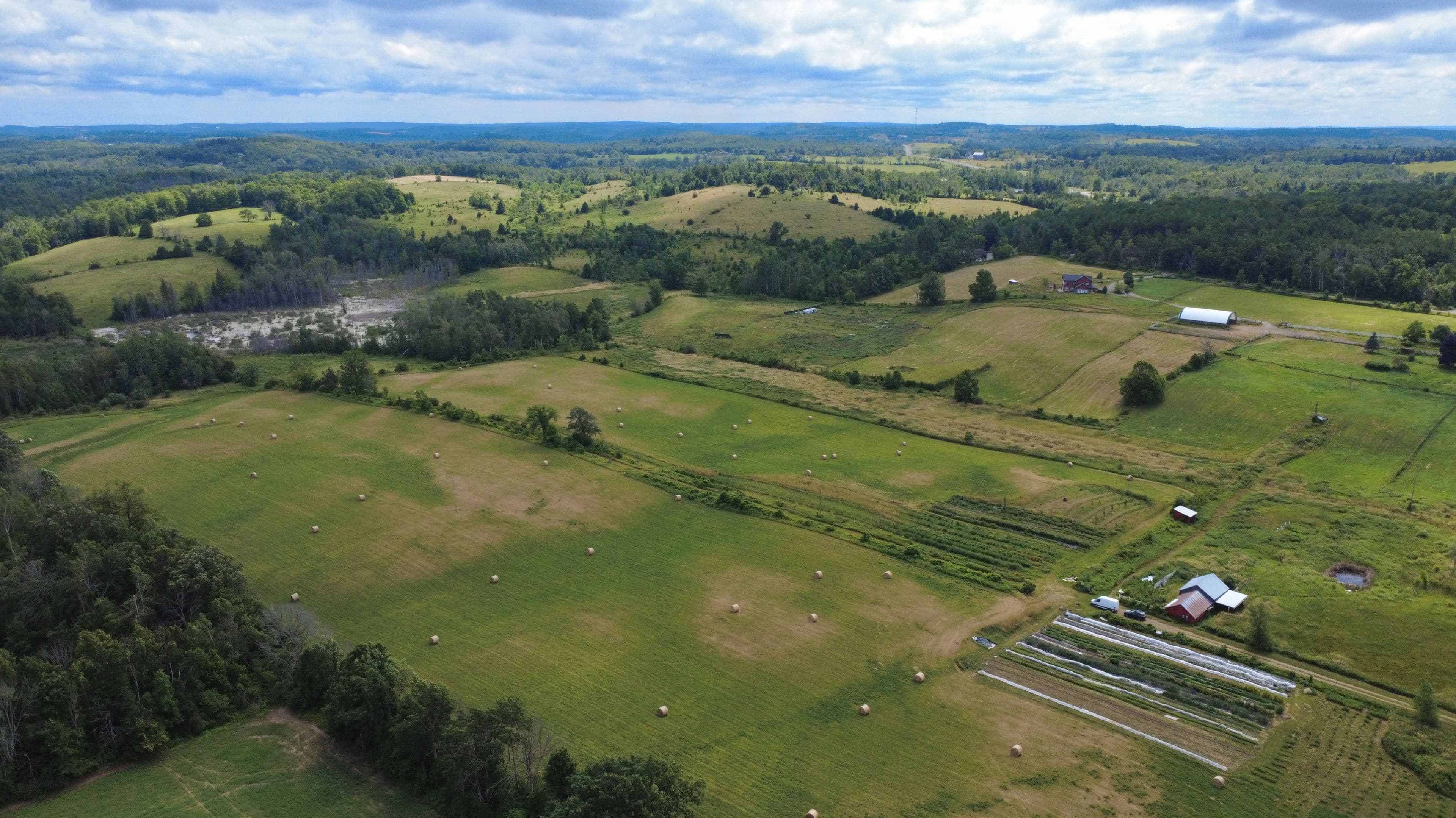 239 Concession 11W N/A, Trent Hills, ON K0L 1Y0