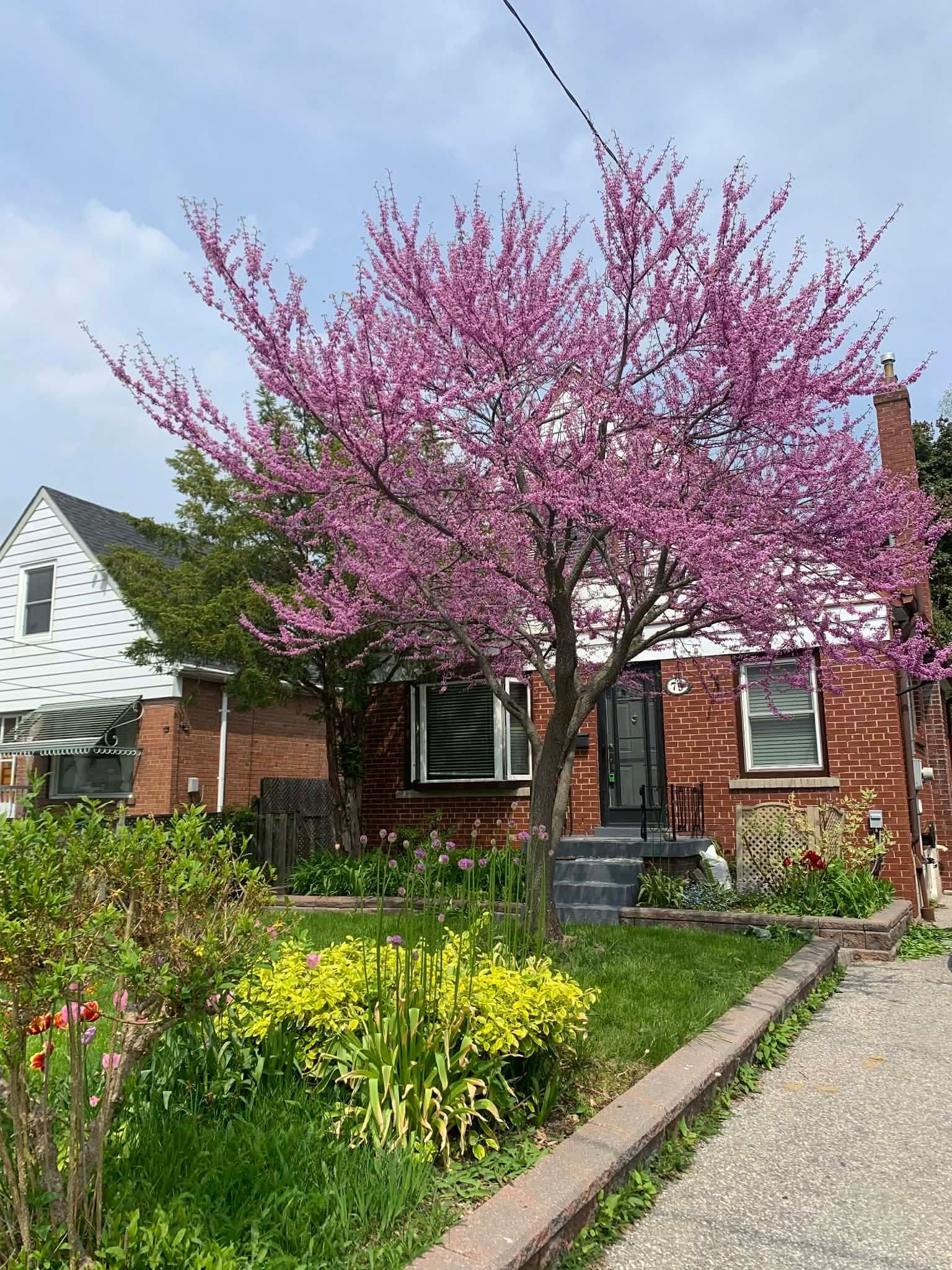 79 Ellington Drive, Toronto E04, ON M1R 3Y2