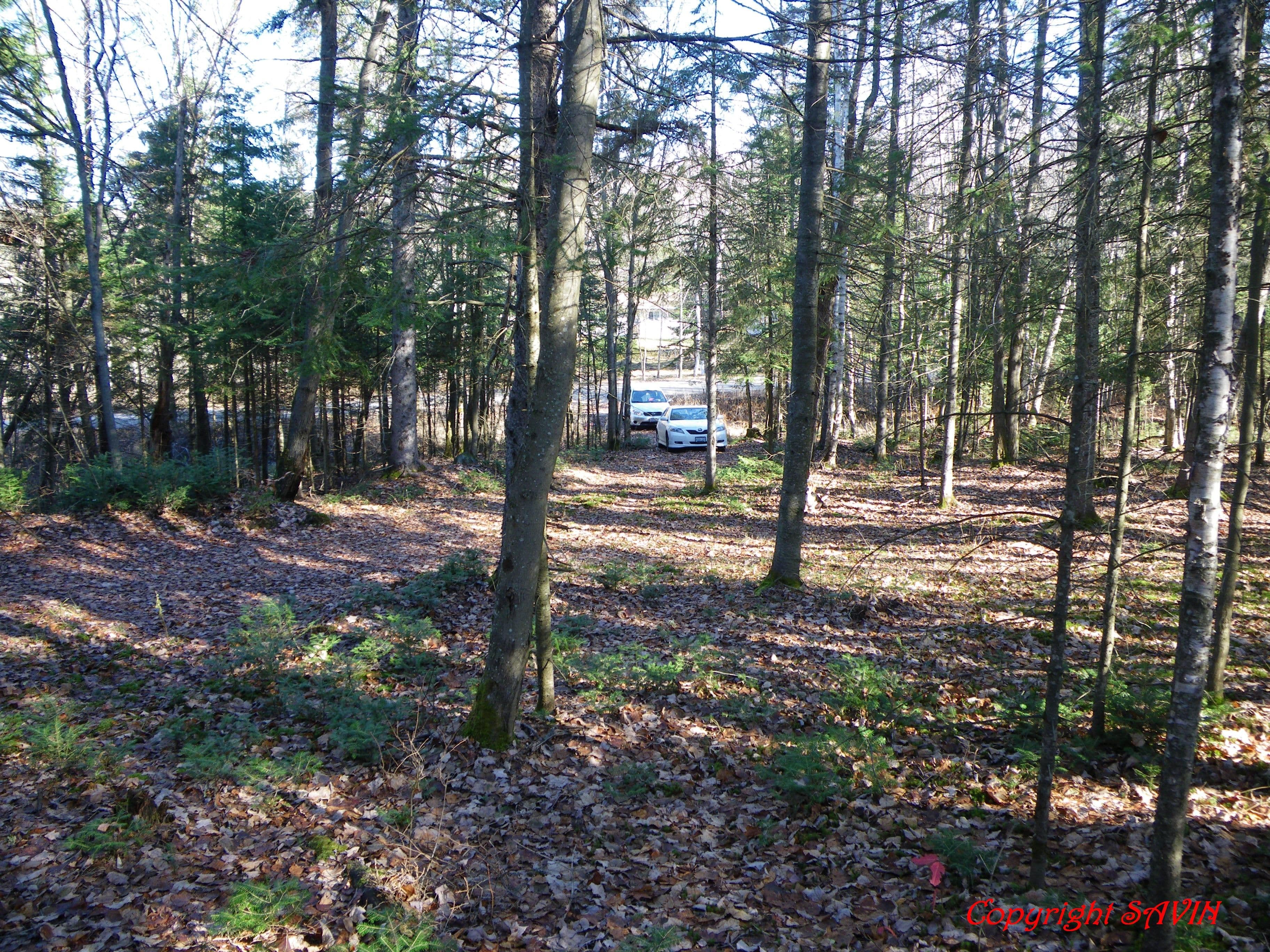 PCL 20438 & 29803 Upper Walker Lake Road, Lake of Bays, ON P1H 2J6