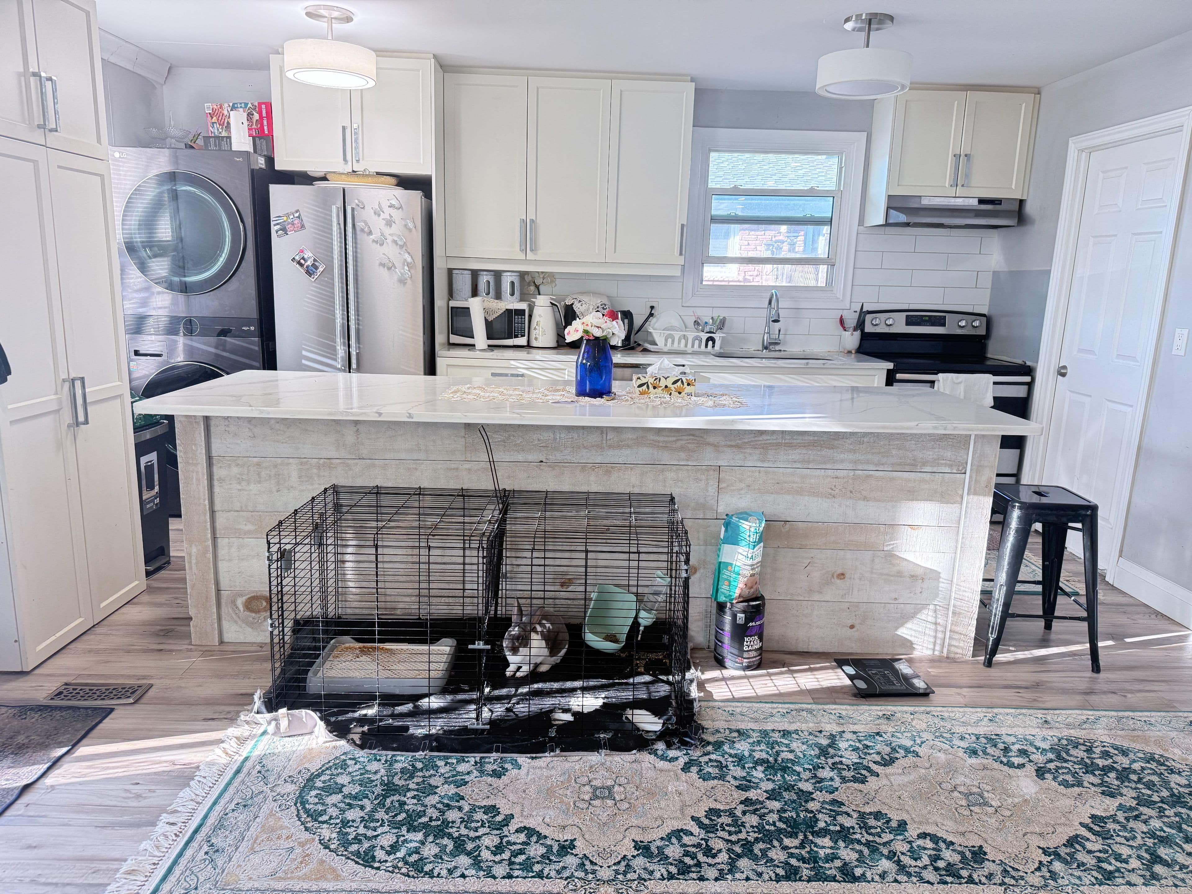 51 BIRCHVIEW Drive upper, Hamilton, ON L8T 4P6