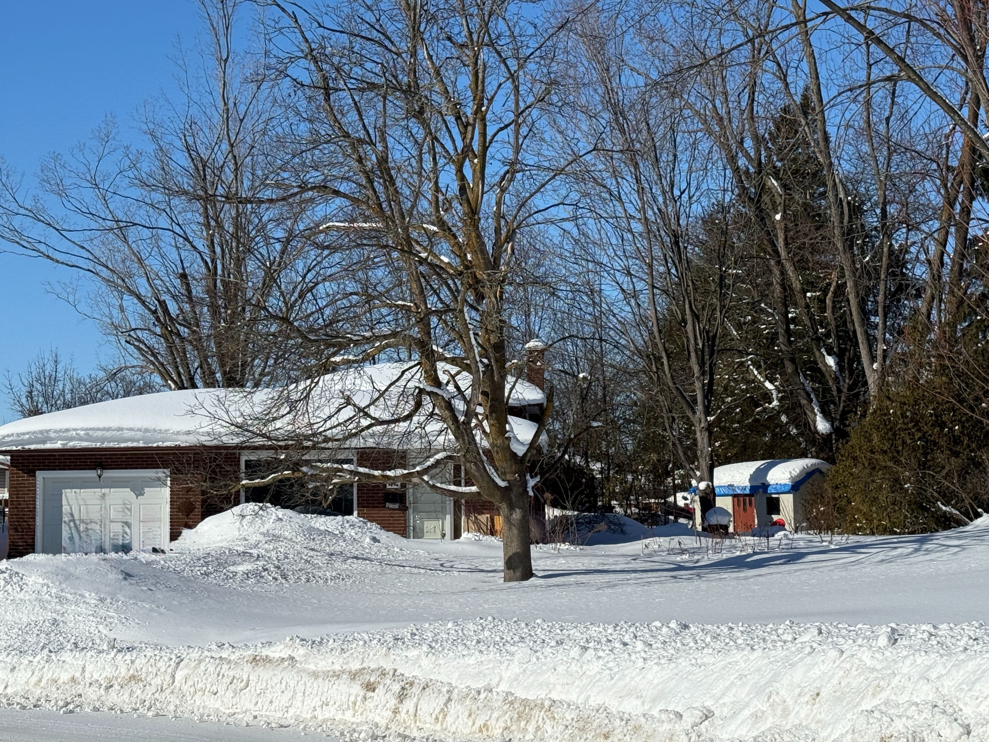 44 Belcourt Avenue, Barrie, ON L4M 4E4