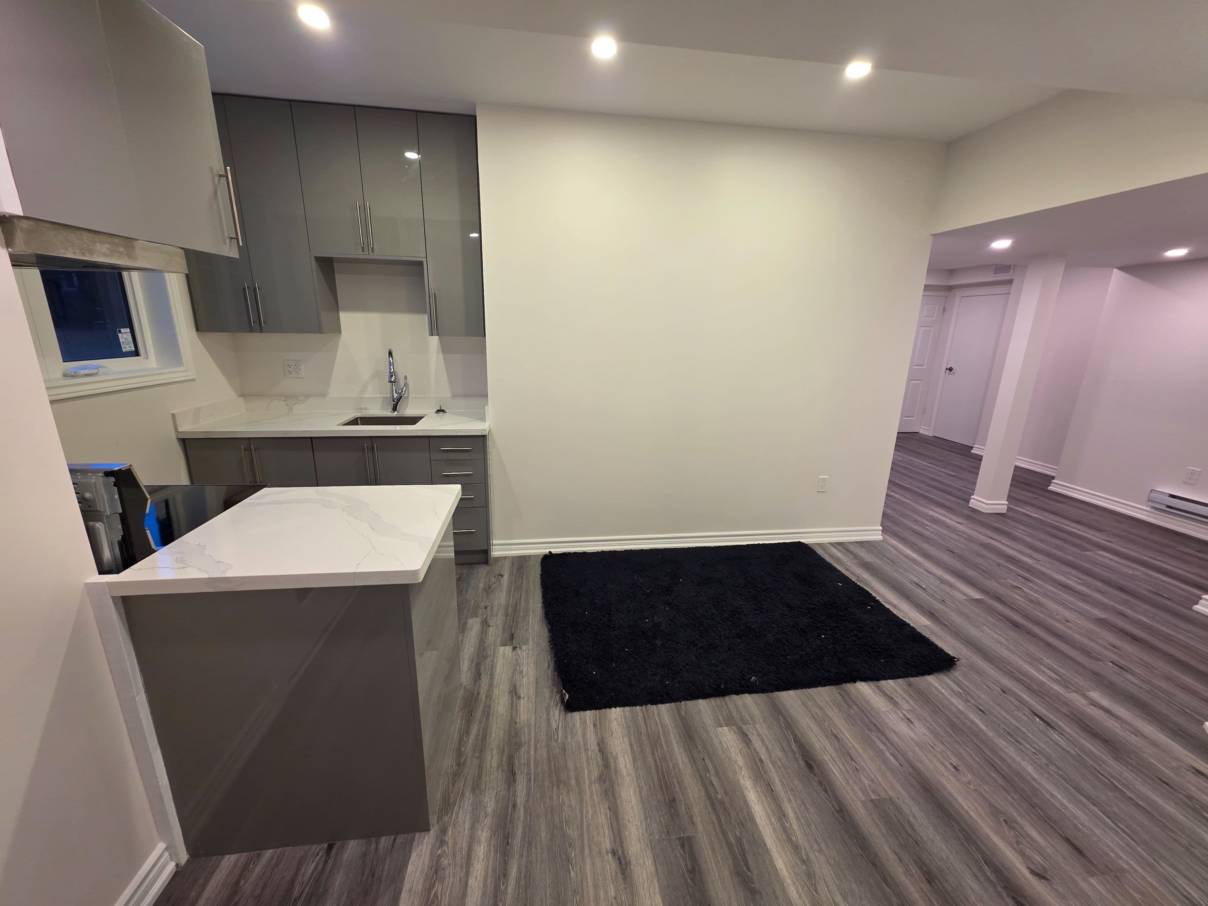 301 Seaview Heights BSMT, East Gwillimbury, ON L9N 0S3