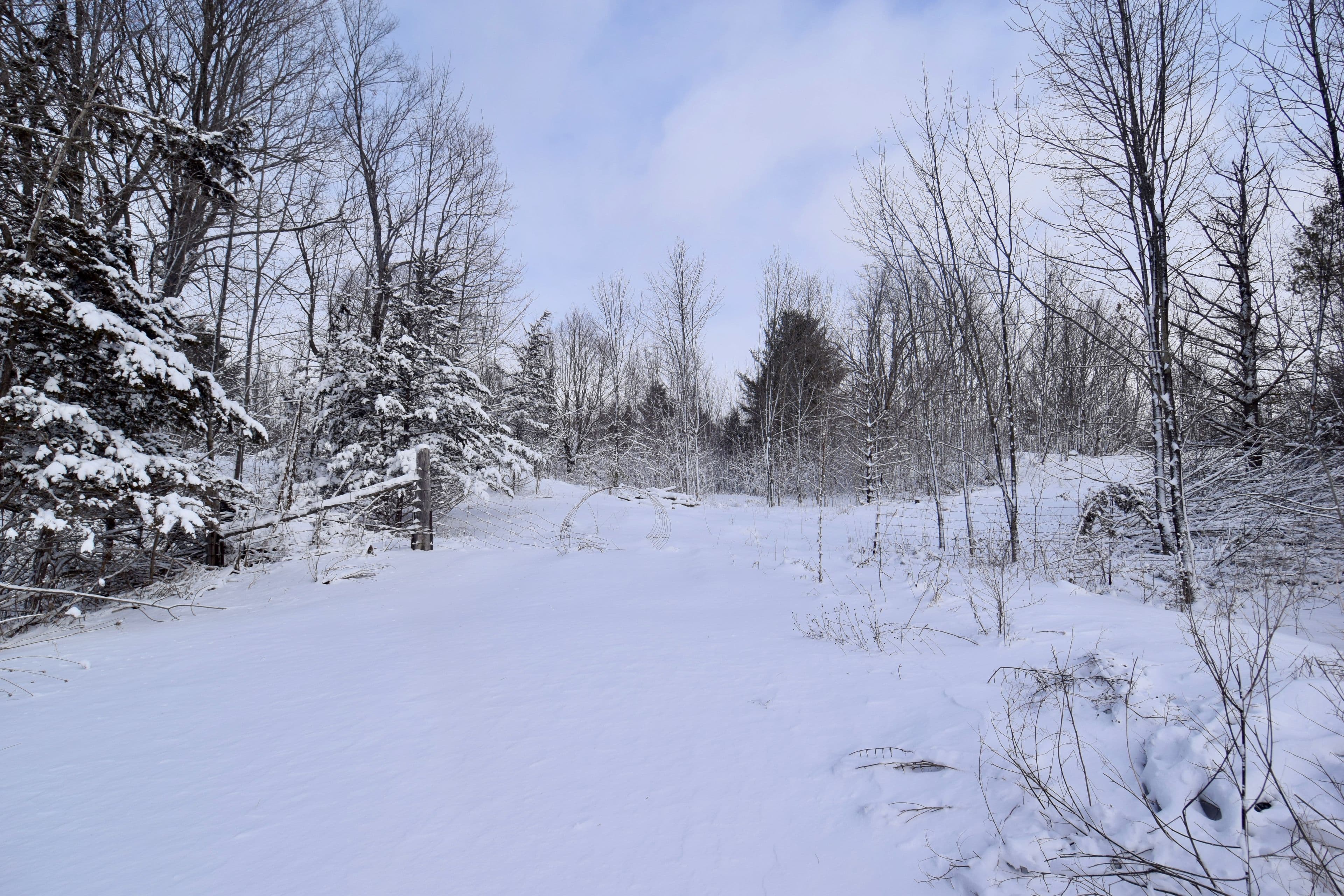 Lot 27 Bradshaw Road, Frontenac, ON K0H 2V0