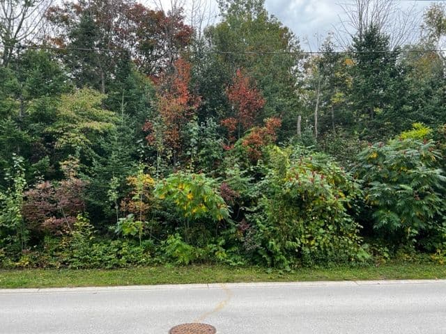 2 SHORE Road, Saugeen Shores, ON N0H 2L0