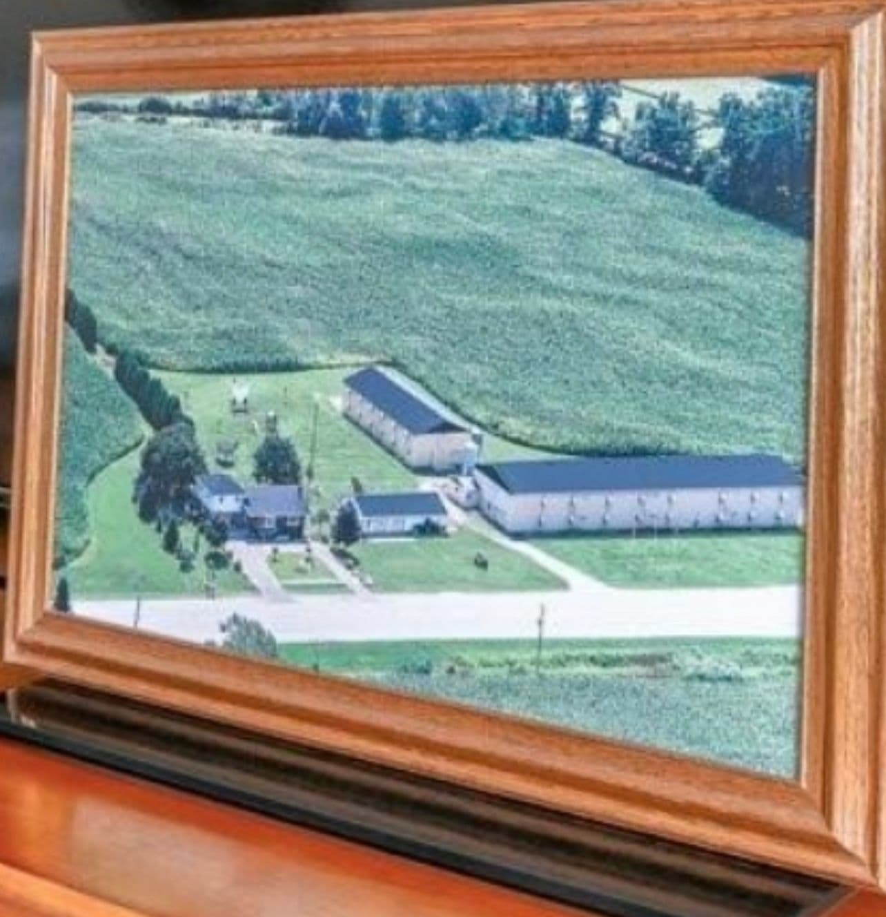 84 Mcdowell Road E, Norfolk, ON N3Y 4J9