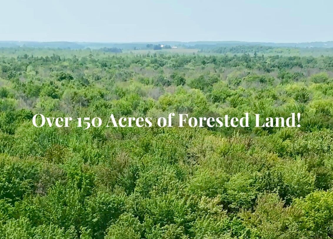 PT LT 36 & PT LT 37 13 Concession, Arran-Elderslie, ON N0H 1A0